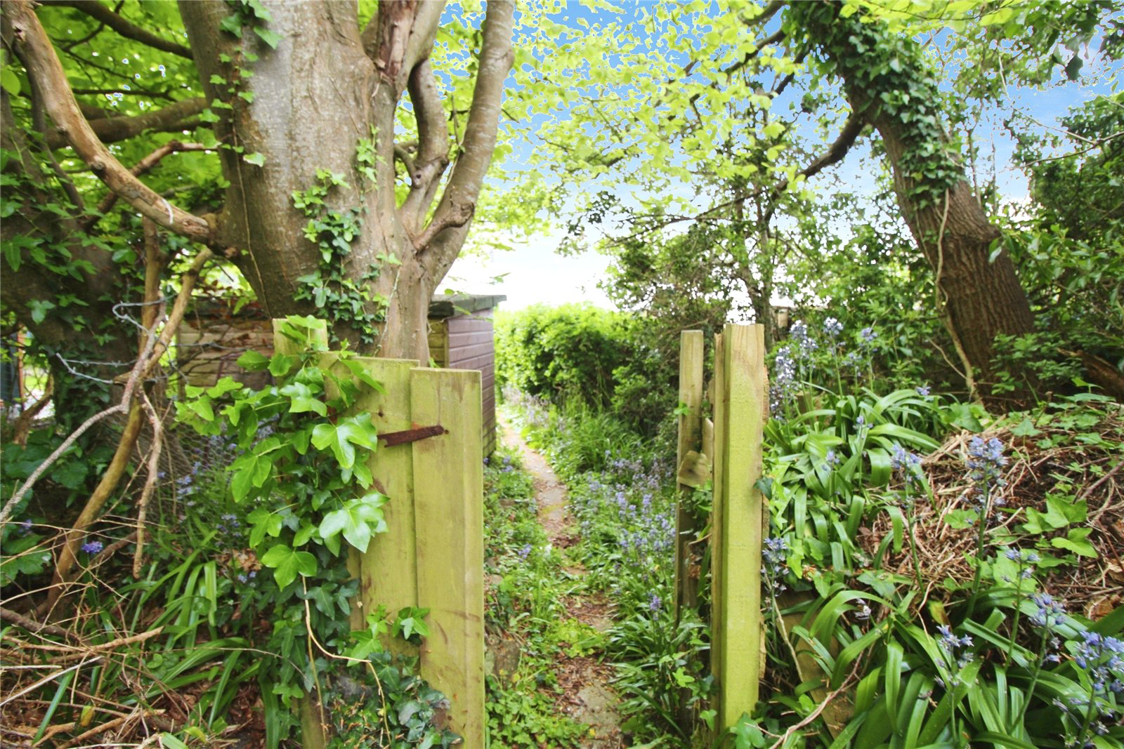 Norman Terrace, Northam, Bideford, Devon, EX39, photo 10