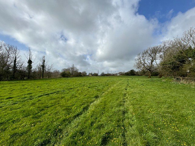 Pyworthy, Holsworthy, EX22, photo 41