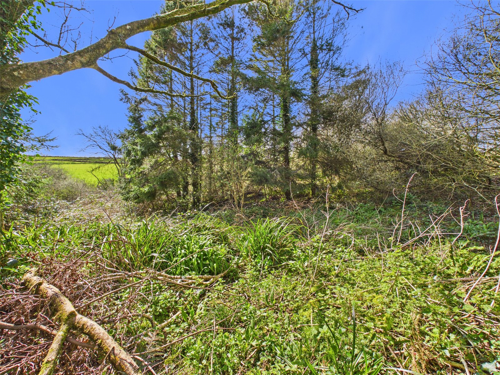 Launcells, Bude, Cornwall, EX23, photo 19