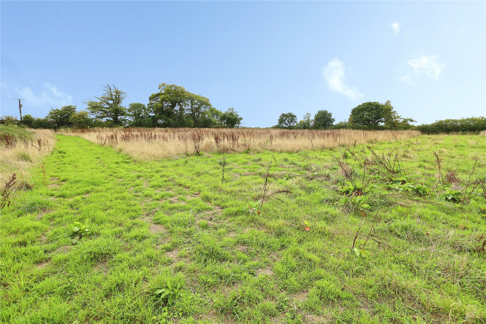 Hallsannery, Bideford, Devon, EX39, photo 16