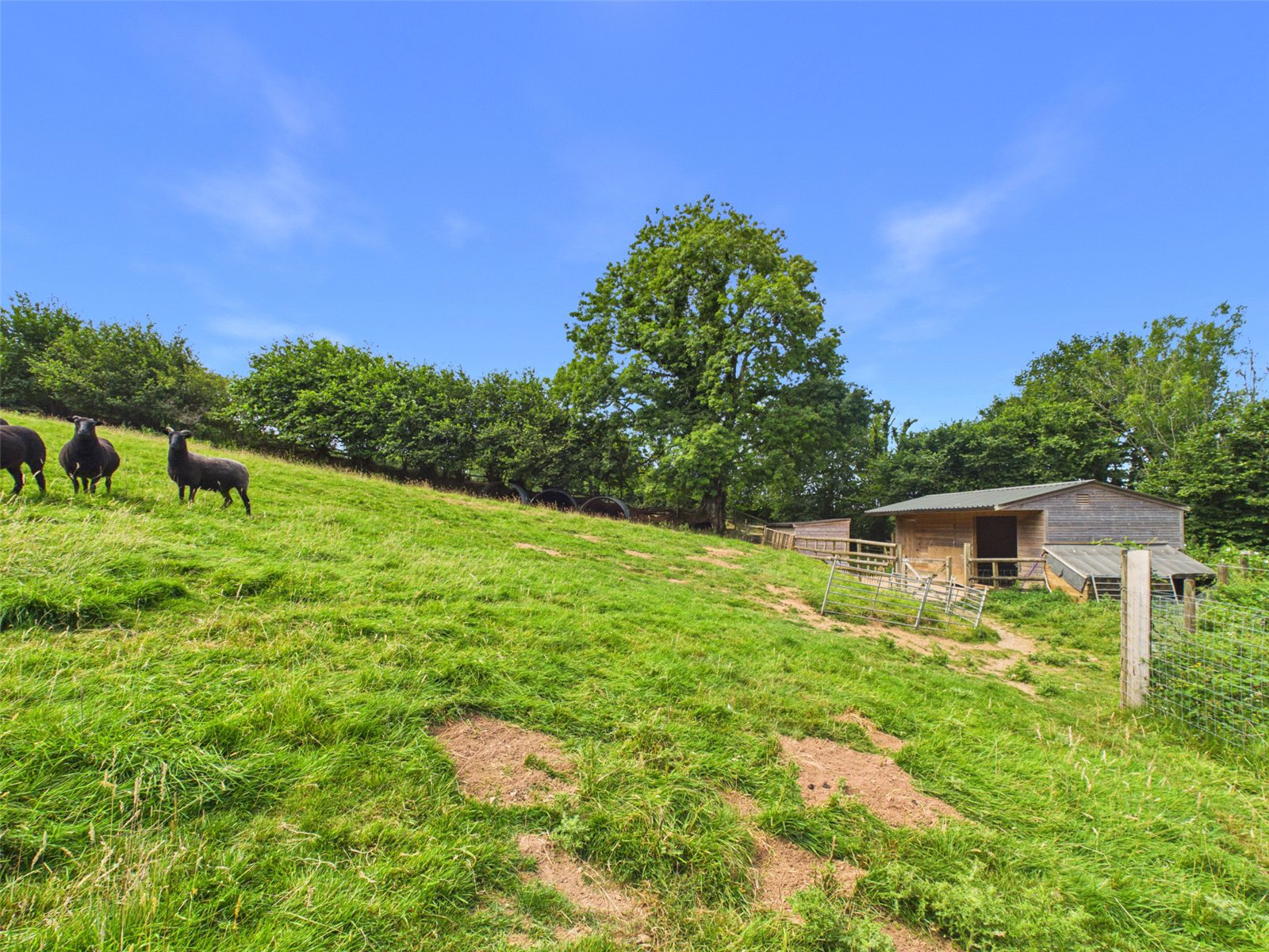 Quither, Tavistock, Devon, PL19, photo 25