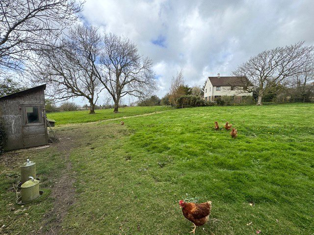 Pyworthy, Holsworthy, EX22, photo 39