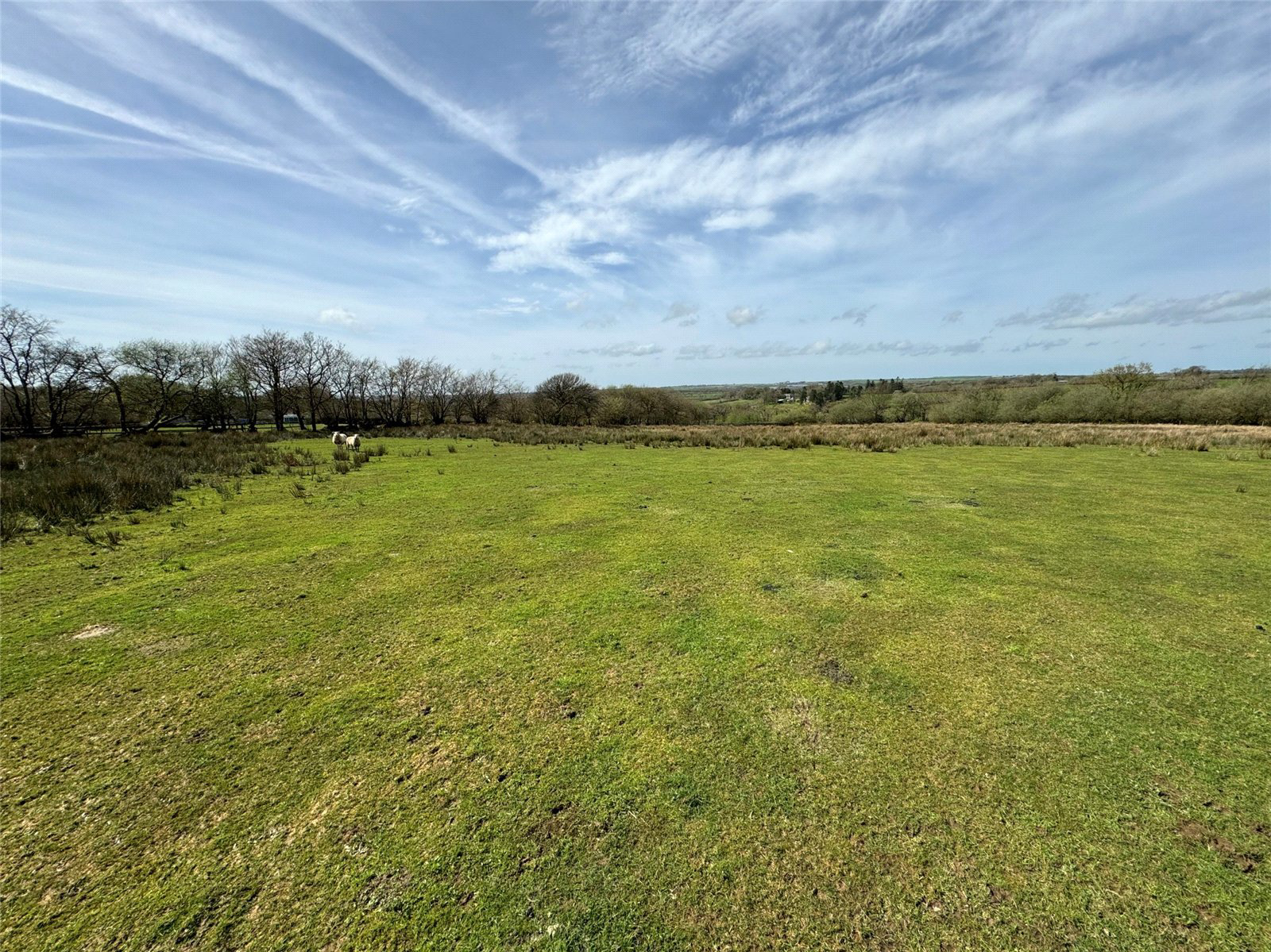 Ashwater, Beaworthy, Devon, EX21, photo 3