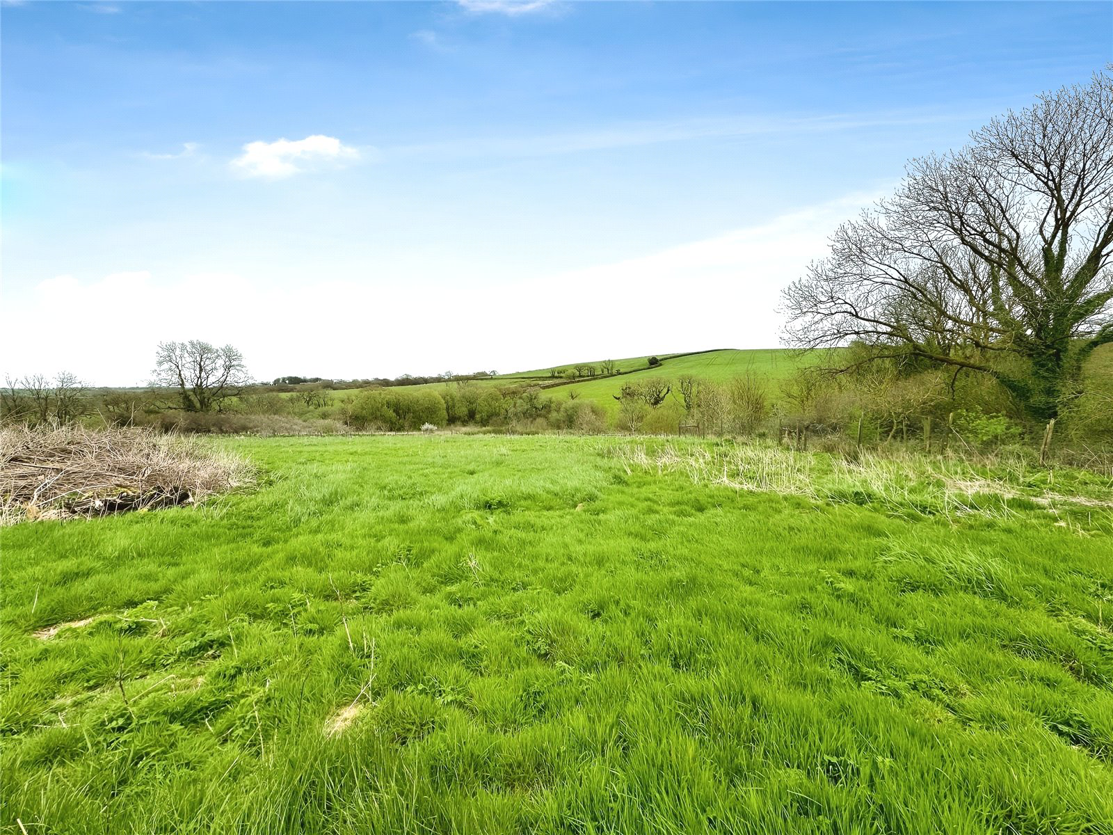 Holsworthy Beacon, Holsworthy, Devon, EX22, photo 34