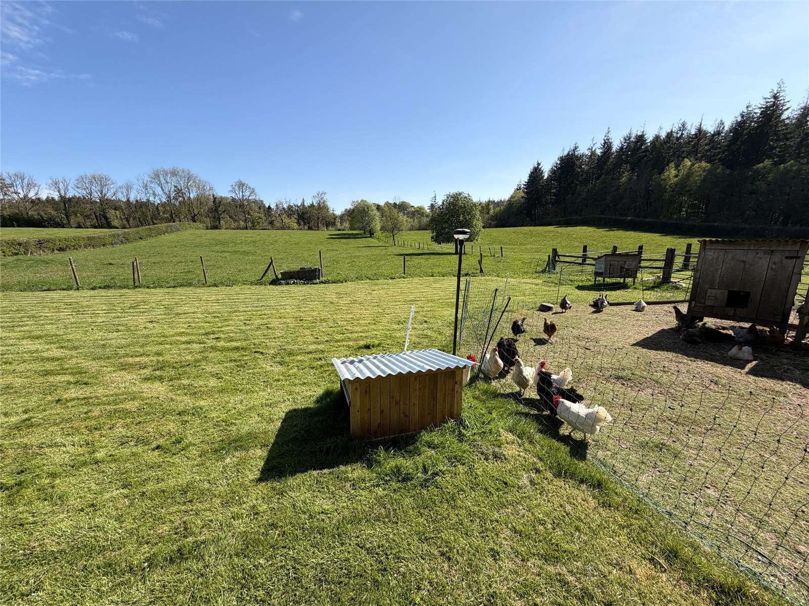 Buckland Filleigh, Beaworthy, Devon, EX21, photo 16