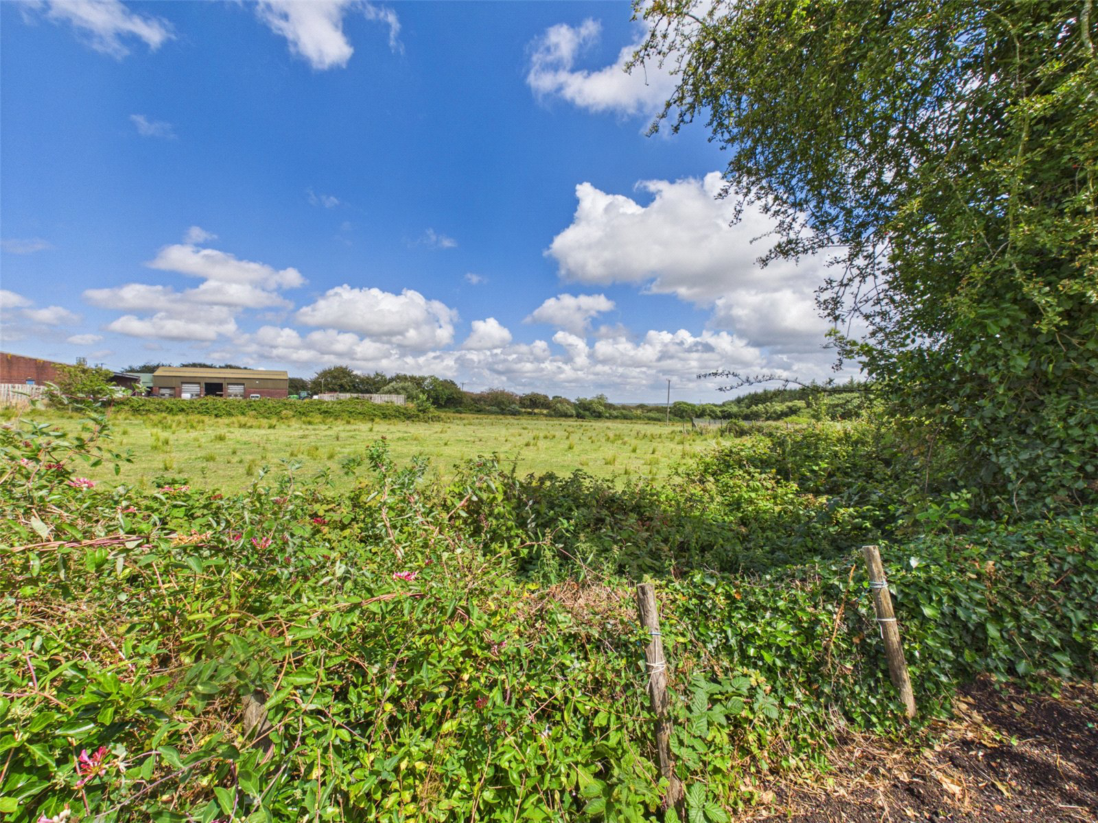 Beech Park, Holsworthy Beacon, Holsworthy, Devon, EX22, photo 16
