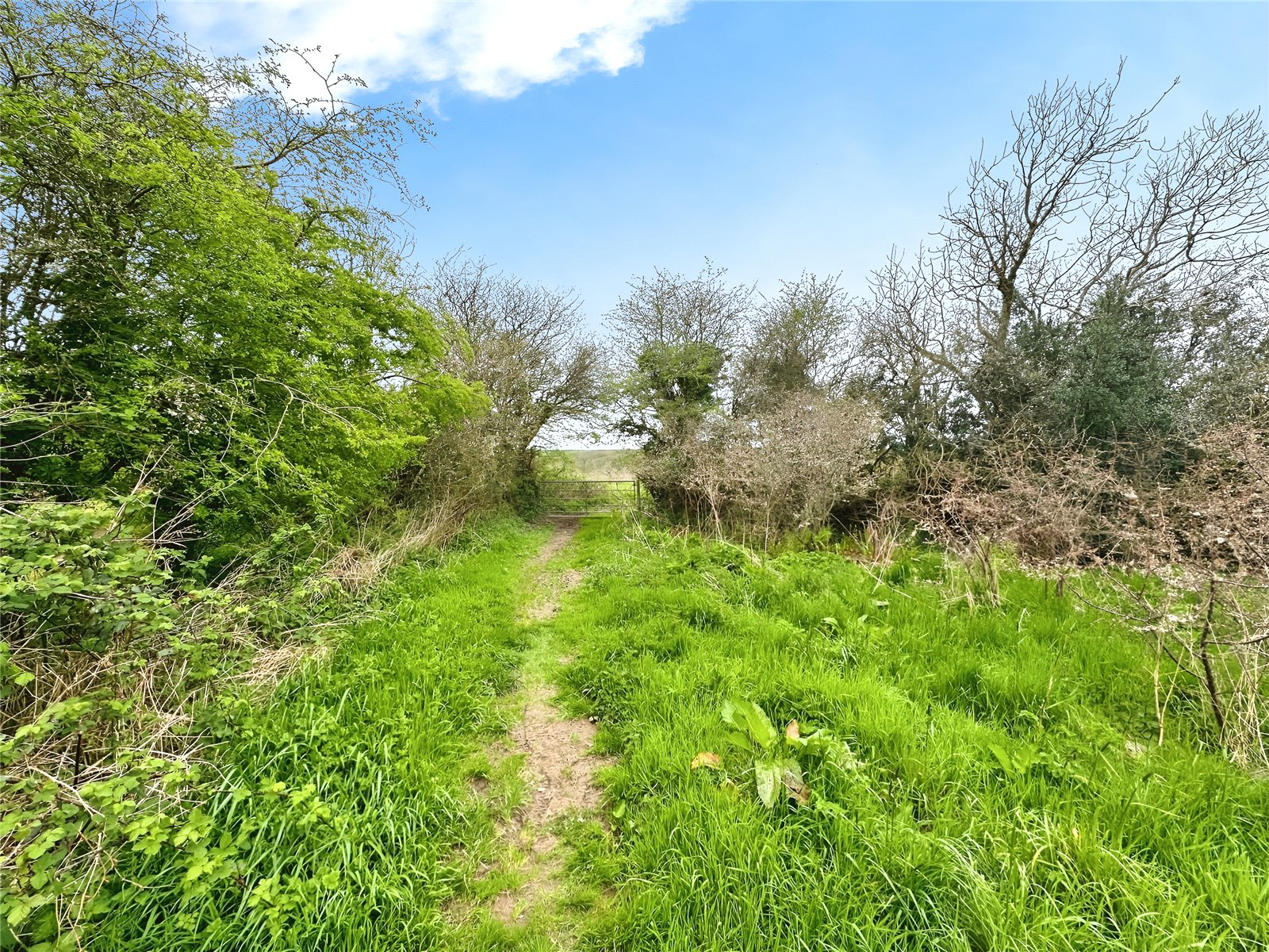 Holsworthy Beacon, Holsworthy, Devon, EX22, photo 24