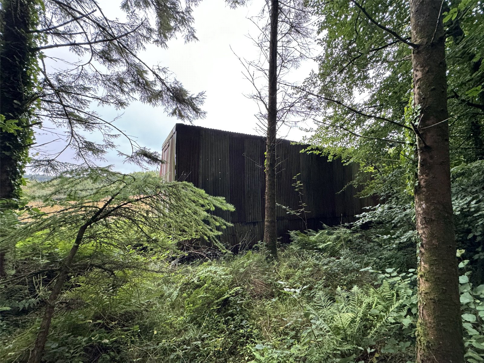 Brandis Corner, Holsworthy, Devon, EX22, photo 14