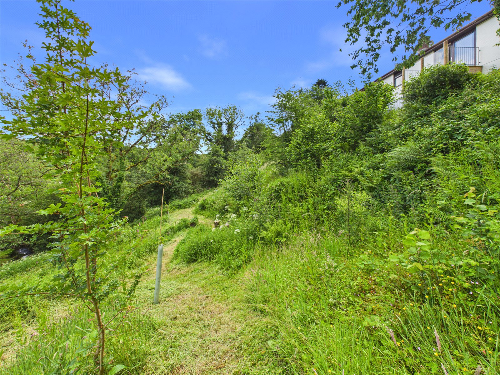 Cookbury, Holsworthy, Devon, EX22, photo 25