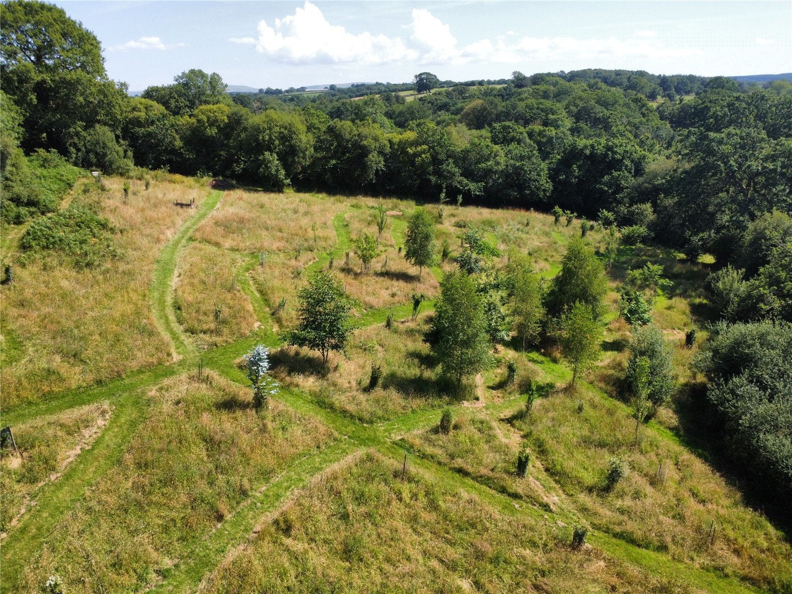 Northlew, Okehampton, Devon, EX20, photo 16