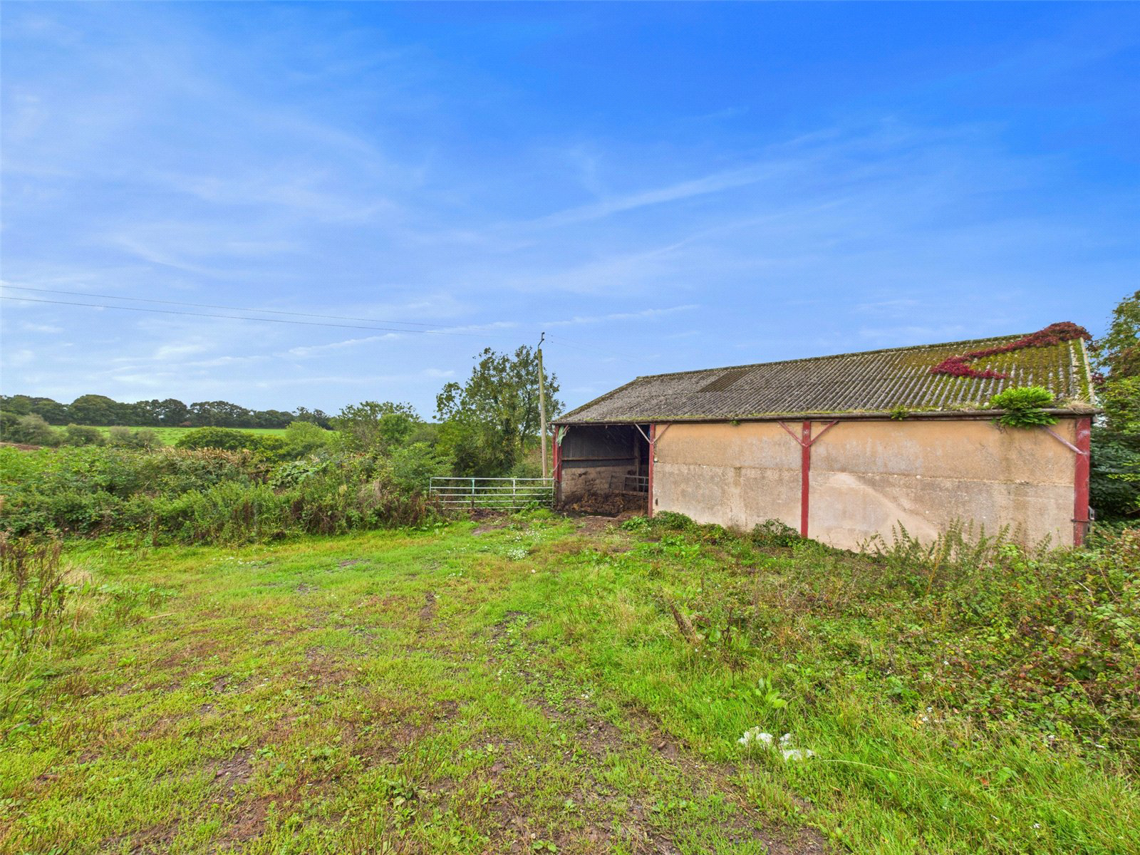 North Tawton, Devon, EX20, photo 4