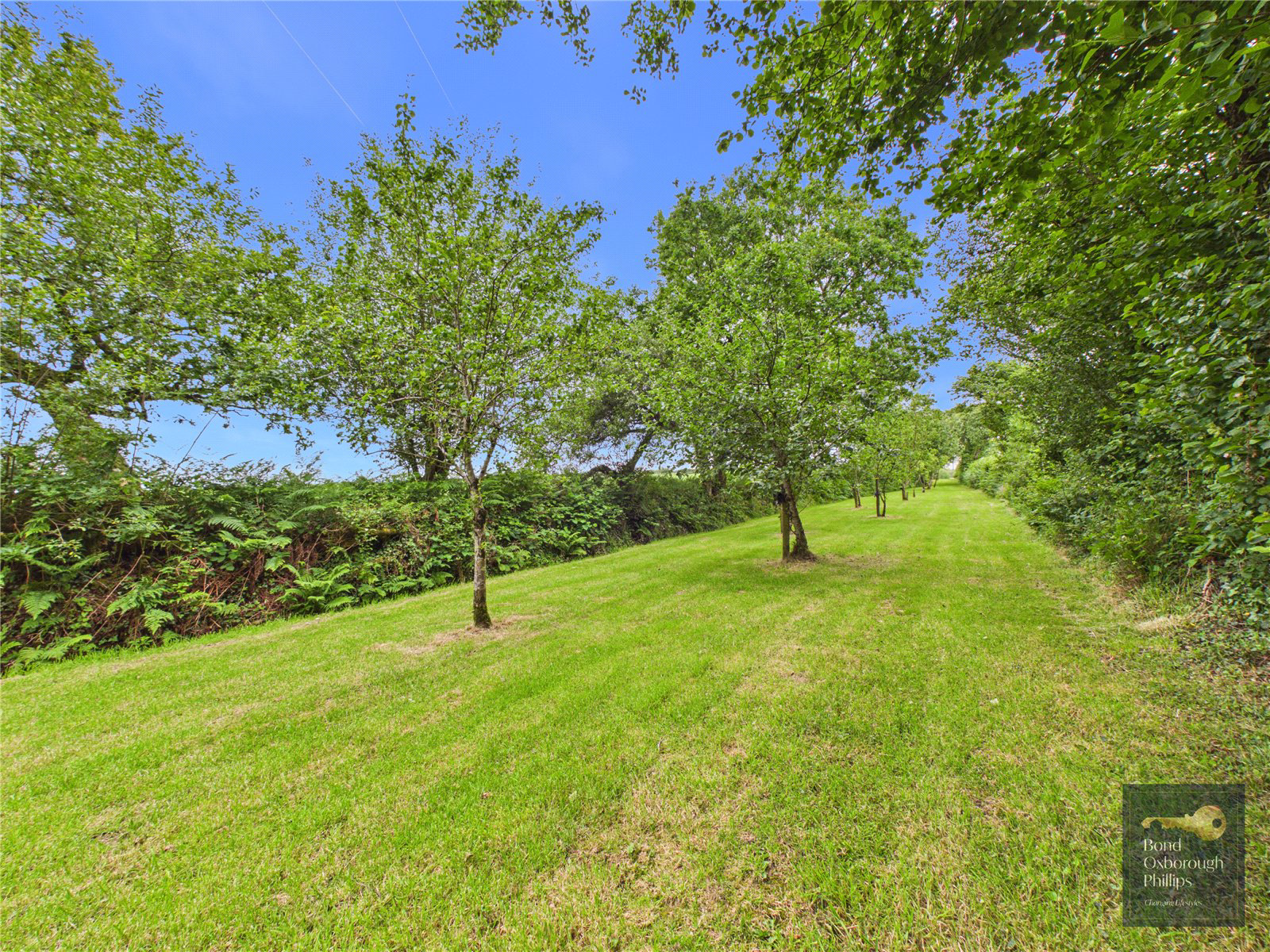 Ebberley, Torrington, Devon, EX38, photo 41