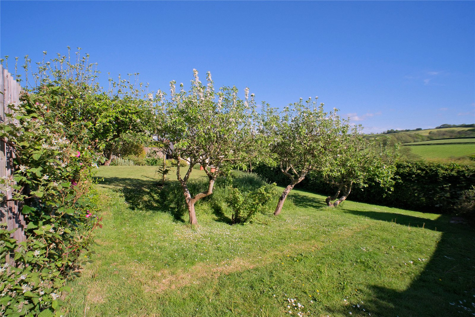 Eastacombe, Tawstock, Barnstaple, Devon, EX31, photo 33