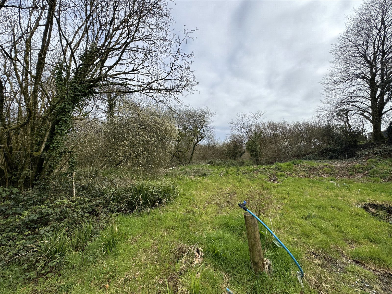 Bradworthy, Holsworthy, Devon, EX22, photo 6