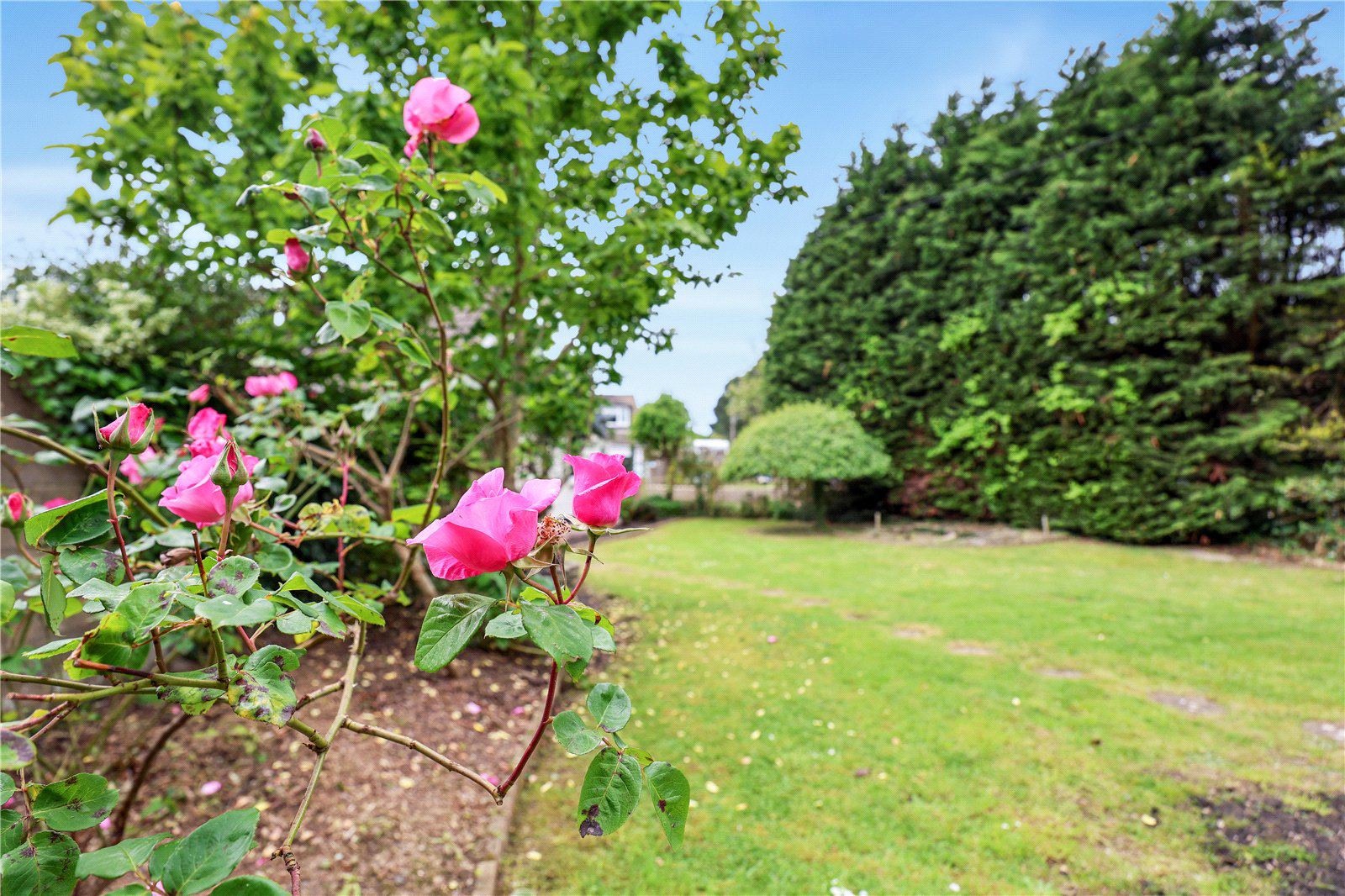 Elmfield Road, Bickington, Barnstaple, Devon, EX31, photo 4