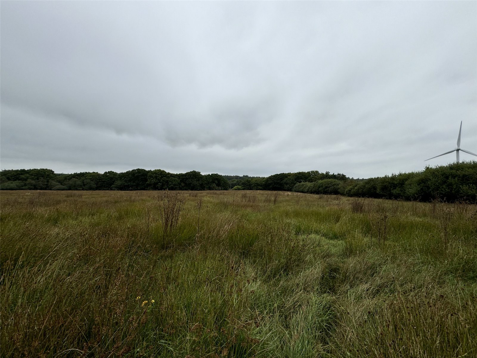 Brandis Corner, Holsworthy, Devon, EX22, photo 16