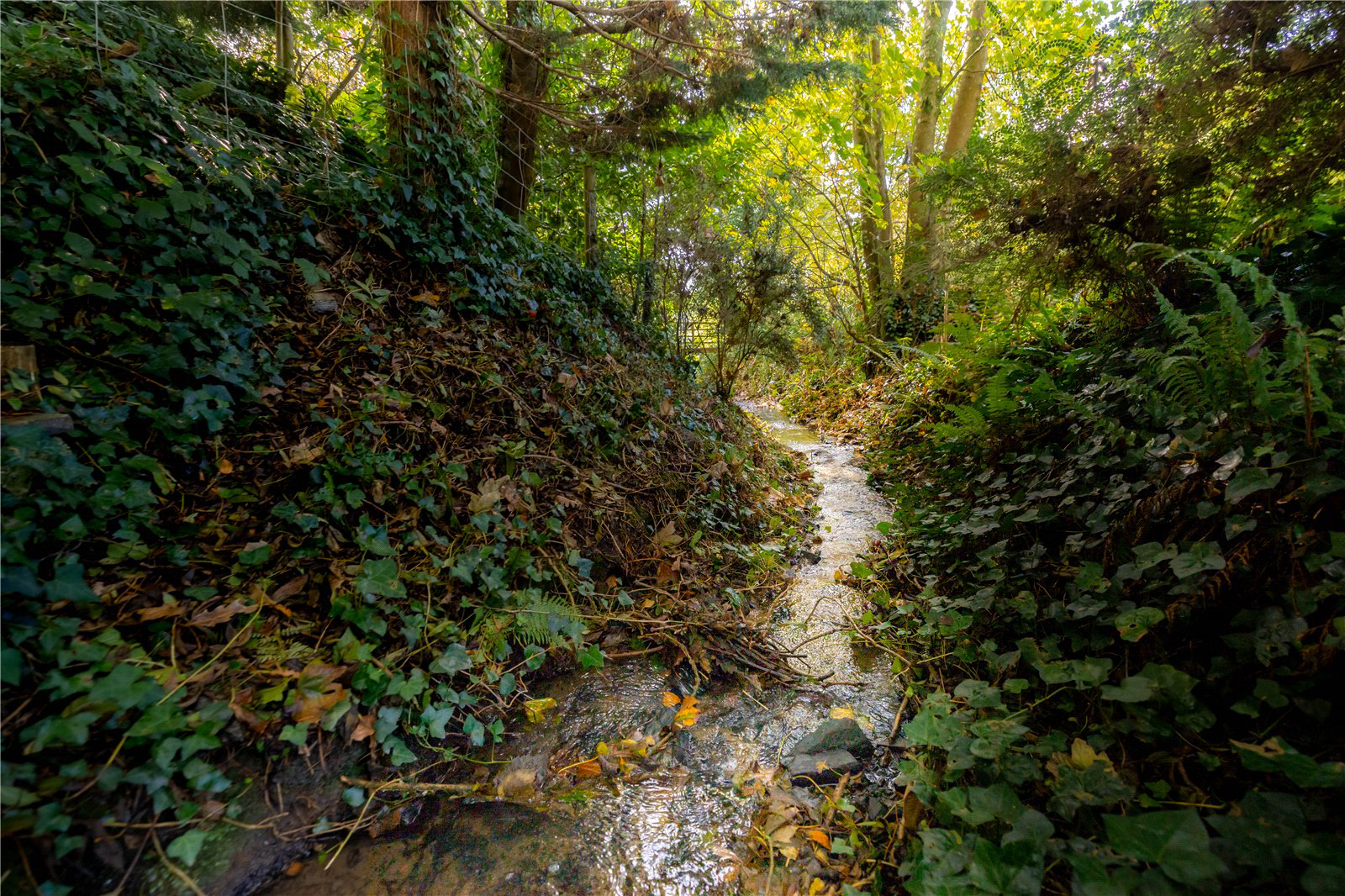 Lenwood Road, Northam, Bideford, Devon, EX39, photo 31