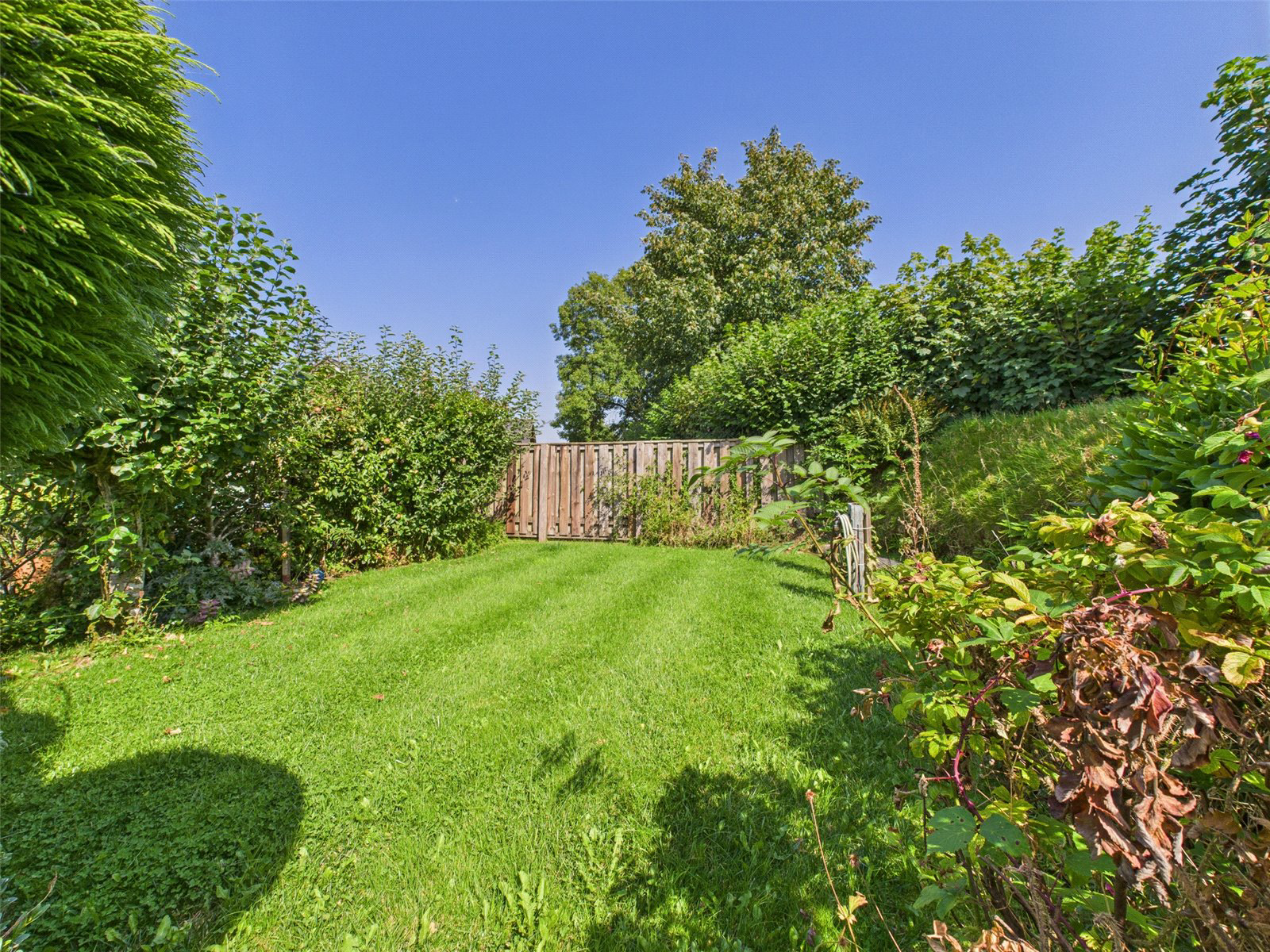 St. Johns Drive, Bradworthy, Holsworthy, Devon, EX22, photo 20