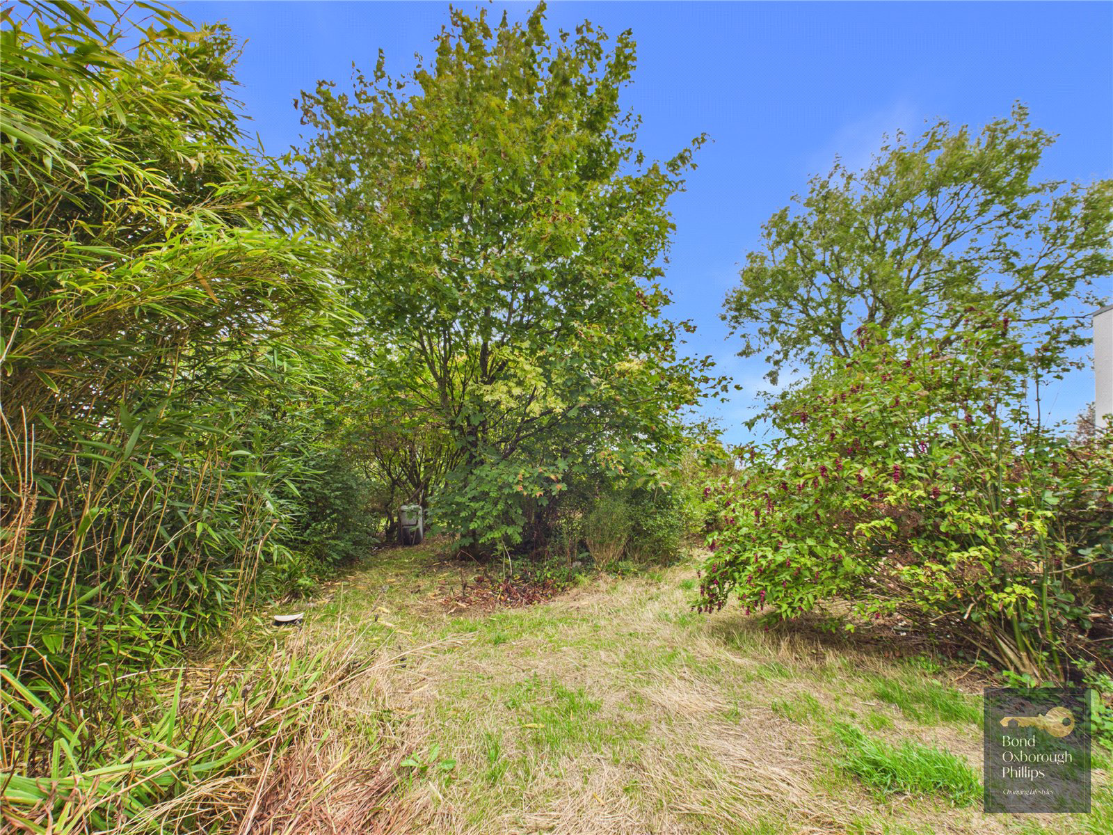 Beaford, Winkleigh, Devon, EX19, photo 42