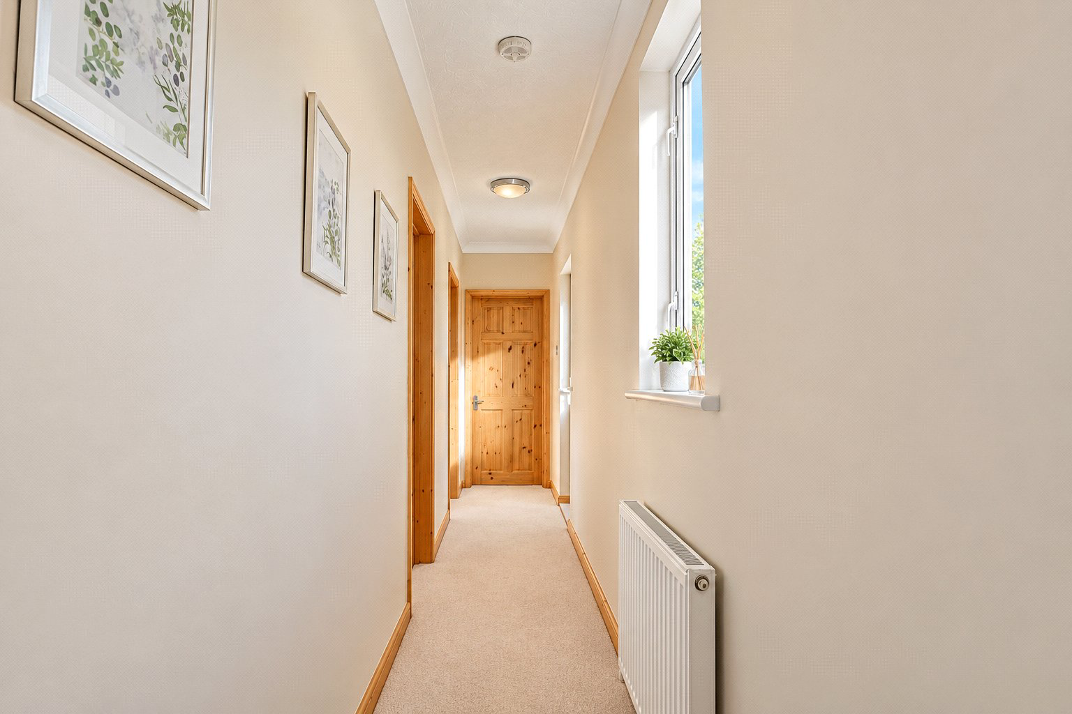 Pynes Lane, Bideford, Devon, EX39, photo 27
