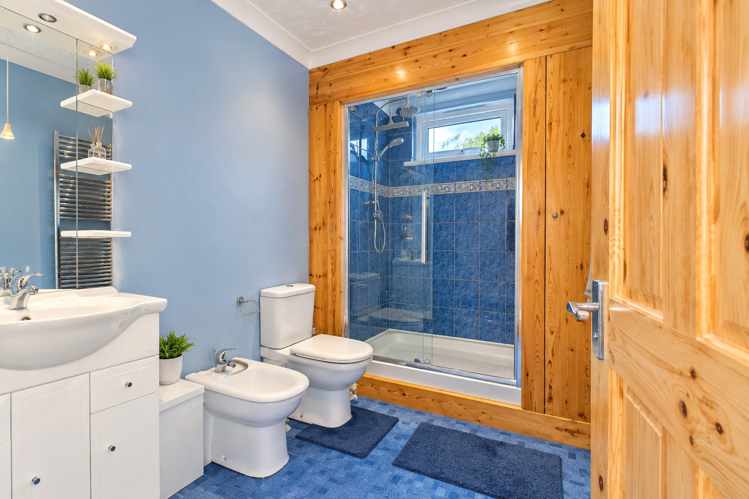Pynes Lane, Bideford, Devon, EX39, photo 24