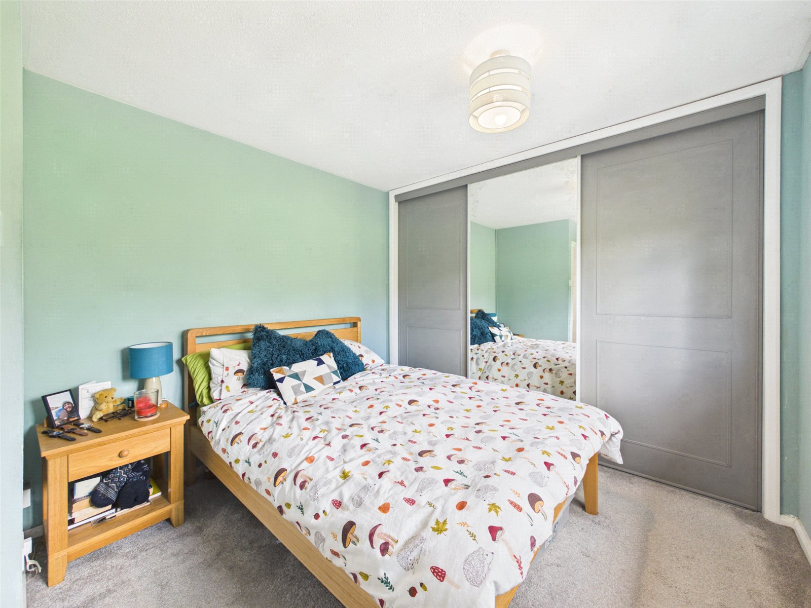 New Park, Horrabridge, Yelverton, Devon, PL20, photo 12