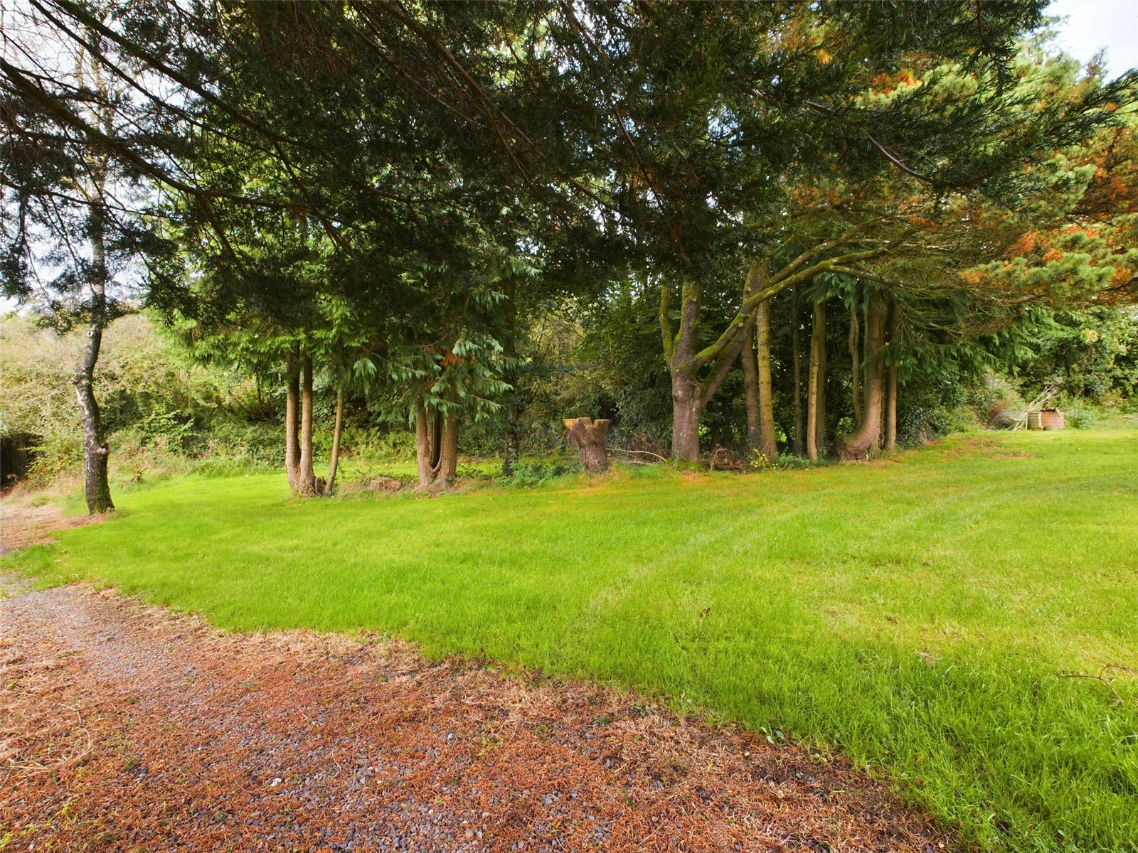 Shebbear, Beaworthy, Devon, EX21, photo 22