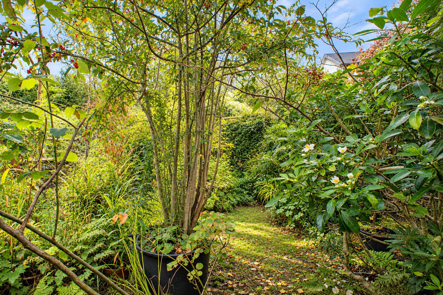 Penswell Cottages, Fore Street, North Molton, Devon, EX36, photo 21