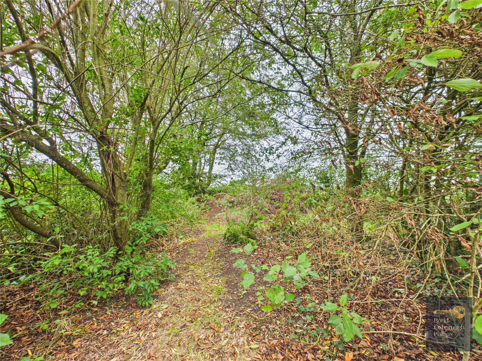 Beaford, Winkleigh, Devon, EX19, photo 38