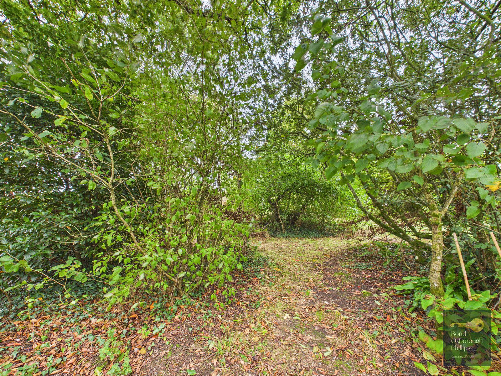 Beaford, Winkleigh, Devon, EX19, photo 37