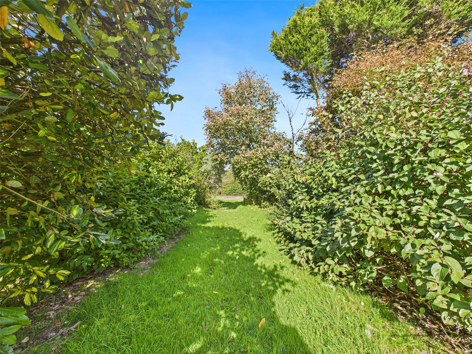 Ashwater, Beaworthy, Devon, EX21, photo 25