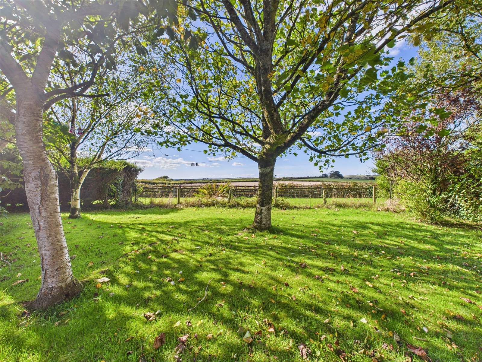 Ashwater, Beaworthy, Devon, EX21, photo 24
