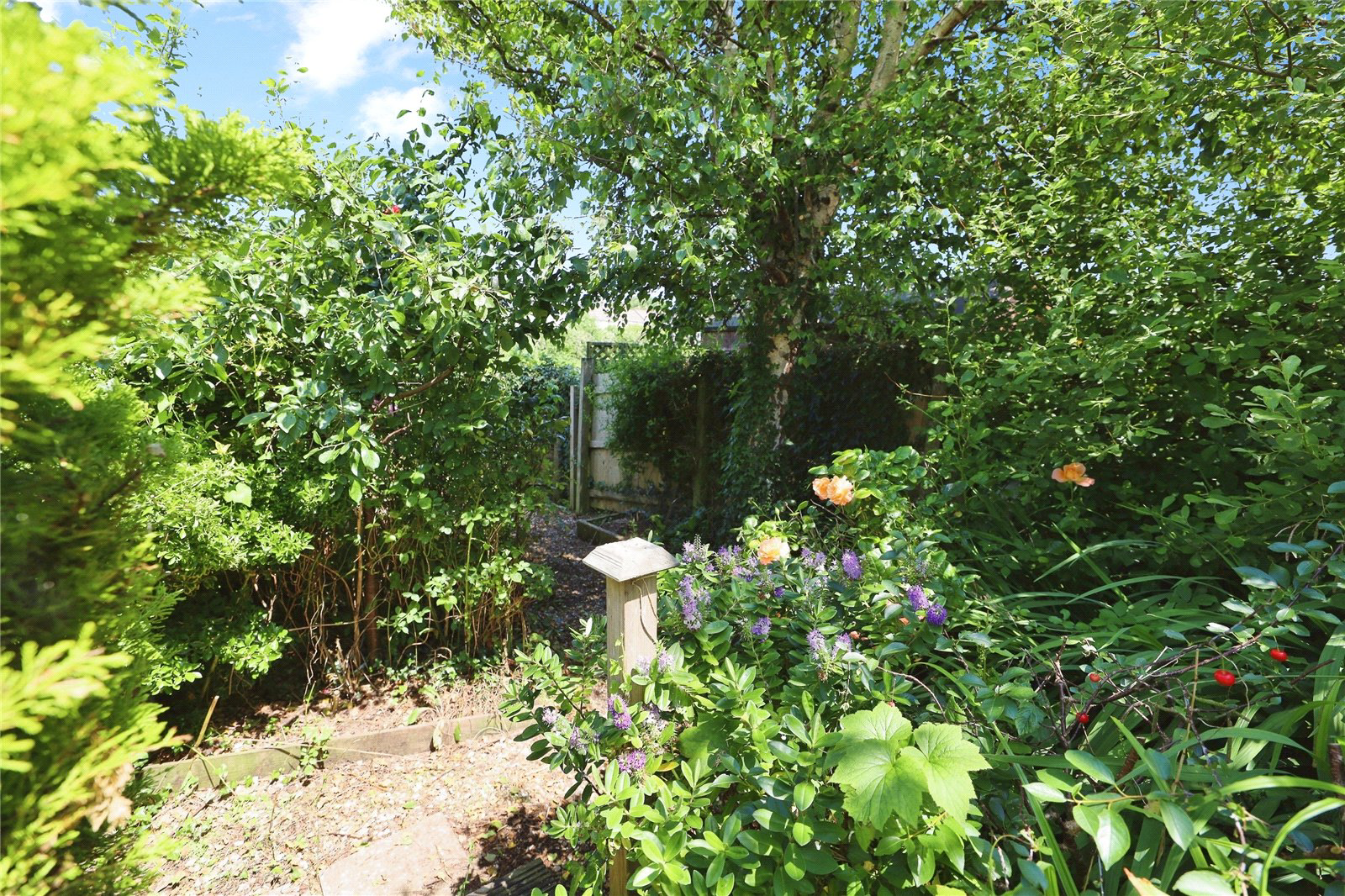 J H Taylor Drive, Northam, Bideford, Devon, EX39, photo 16