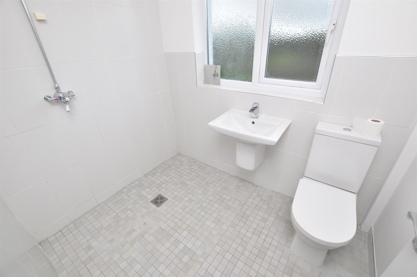 Pwll Trap, St. Clears, Carmarthen, photo 15