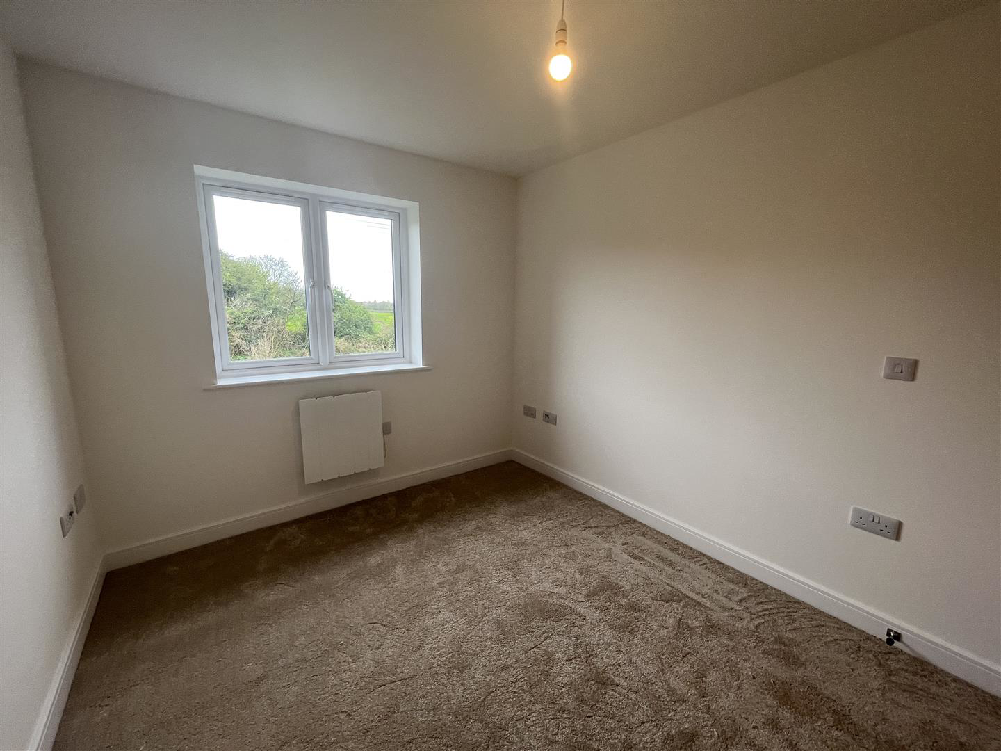Buttercup, Meinciau Road, Mynydd y Garreg, photo 35