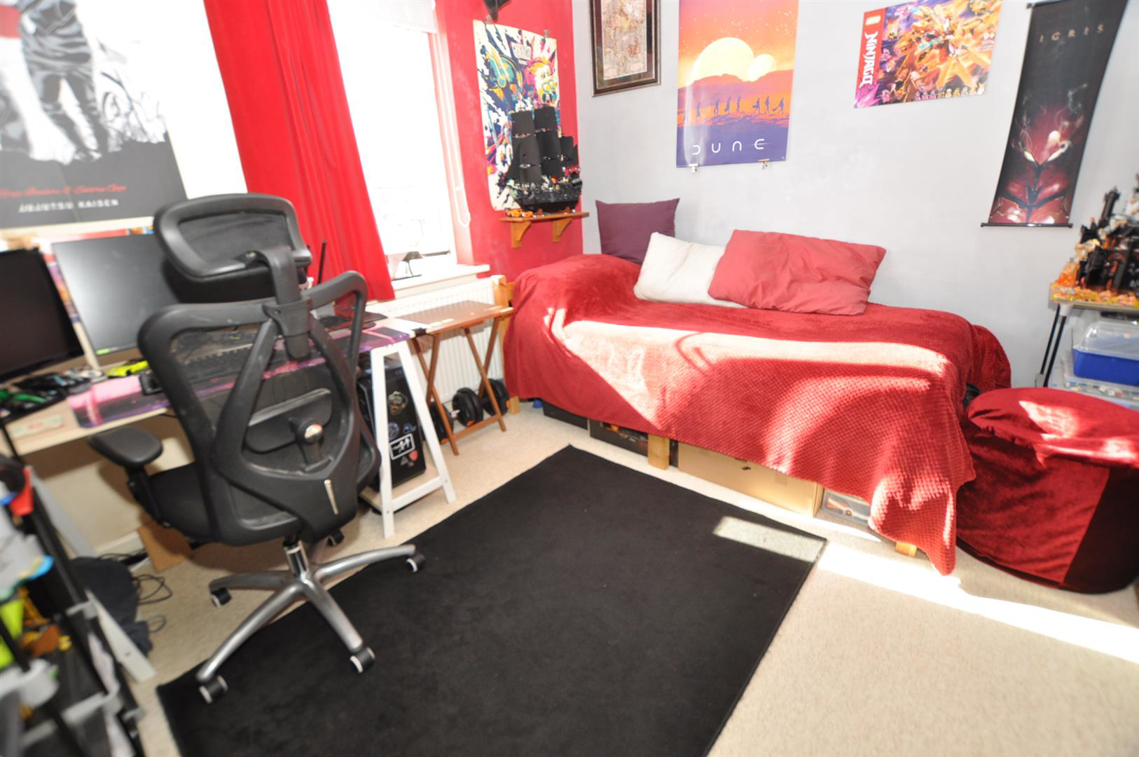 Photo 11