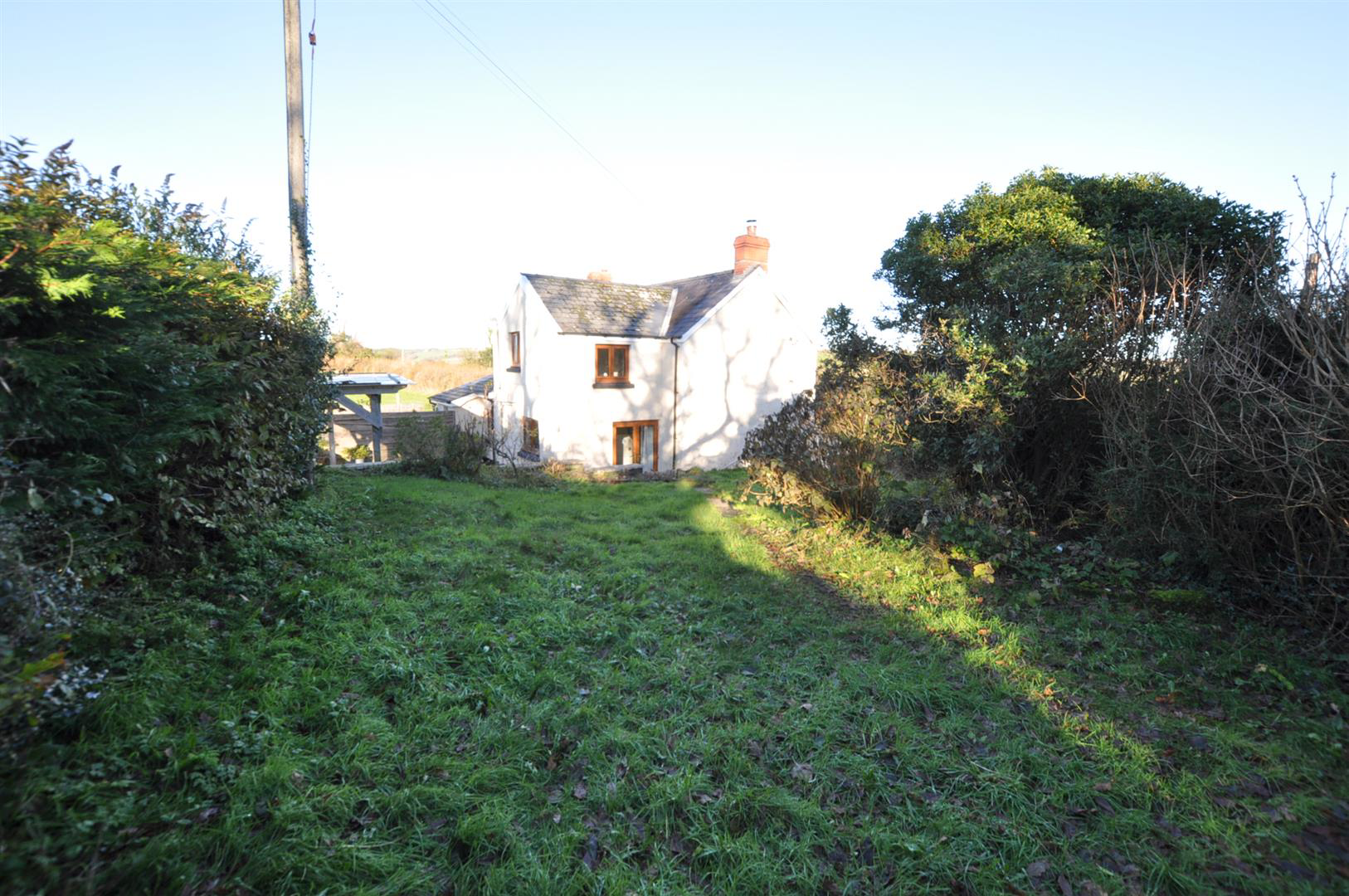 Photo 19