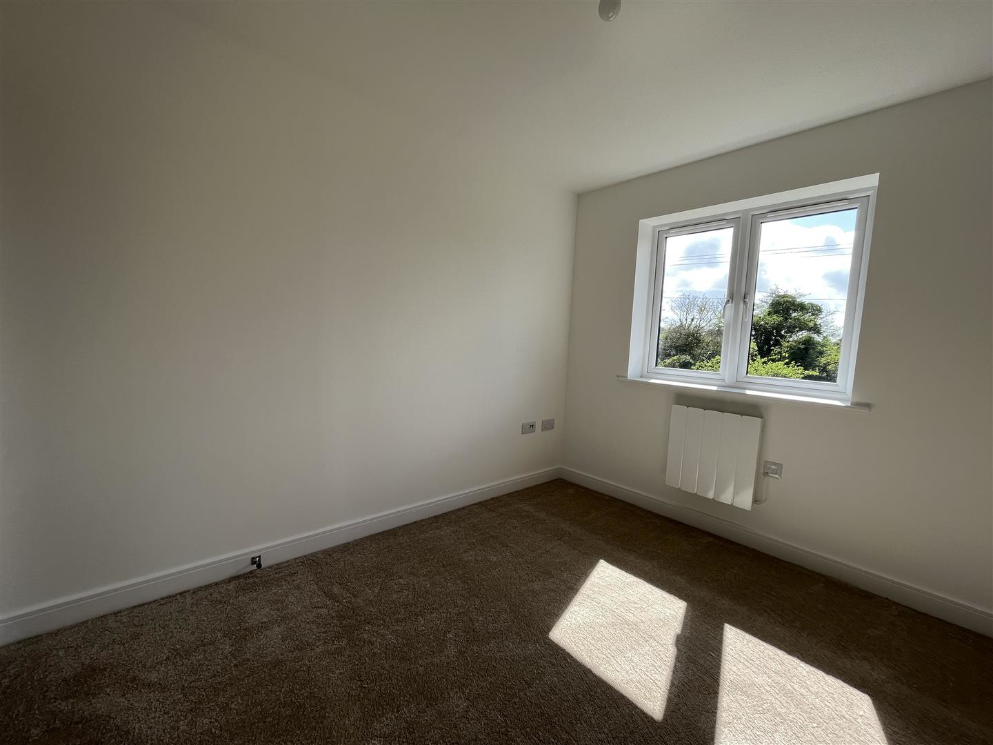 Buttercup, Meinciau Road, Mynydd y Garreg, photo 31