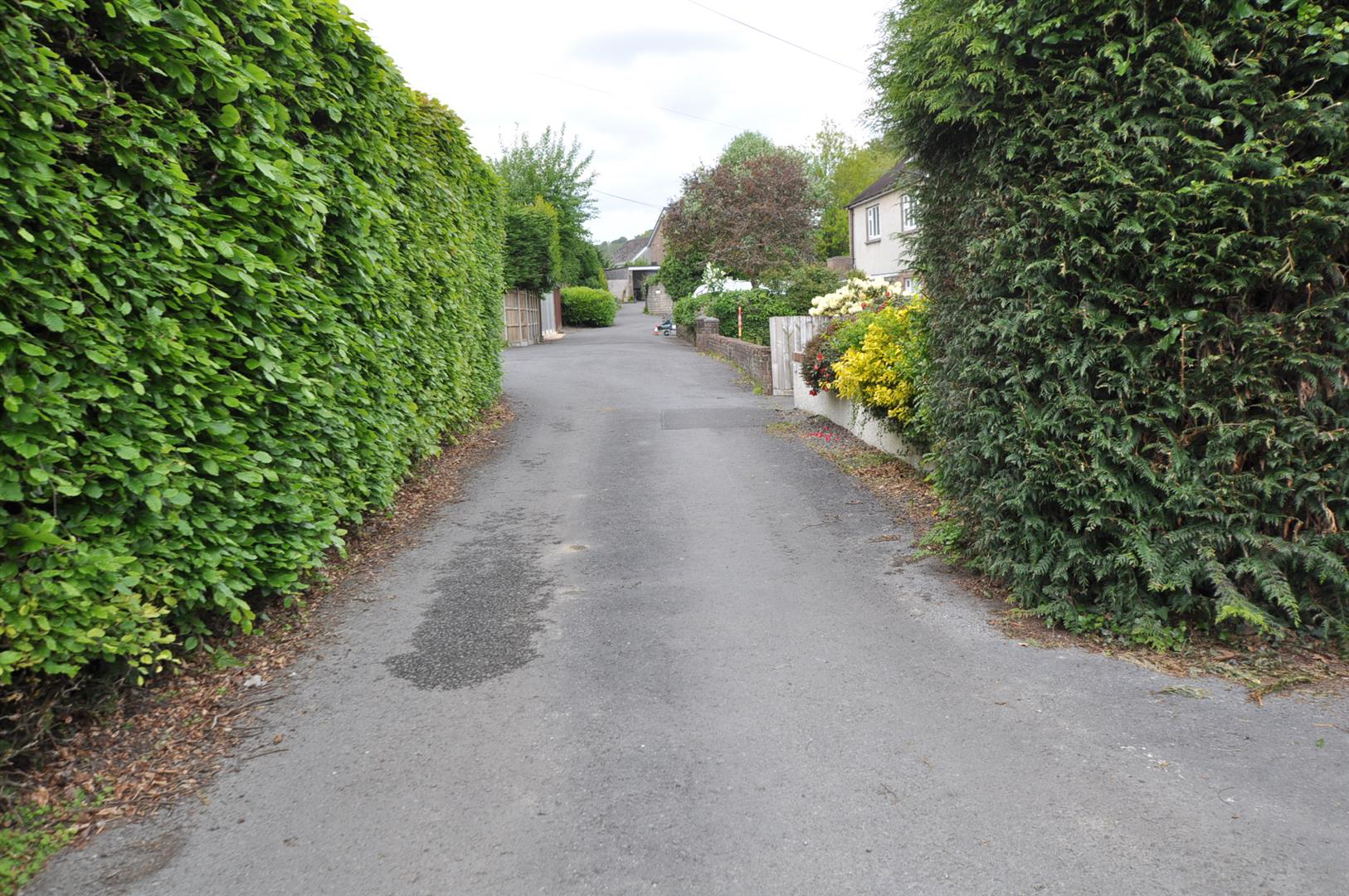 Bronwydd Road, Carmarthen, photo 20