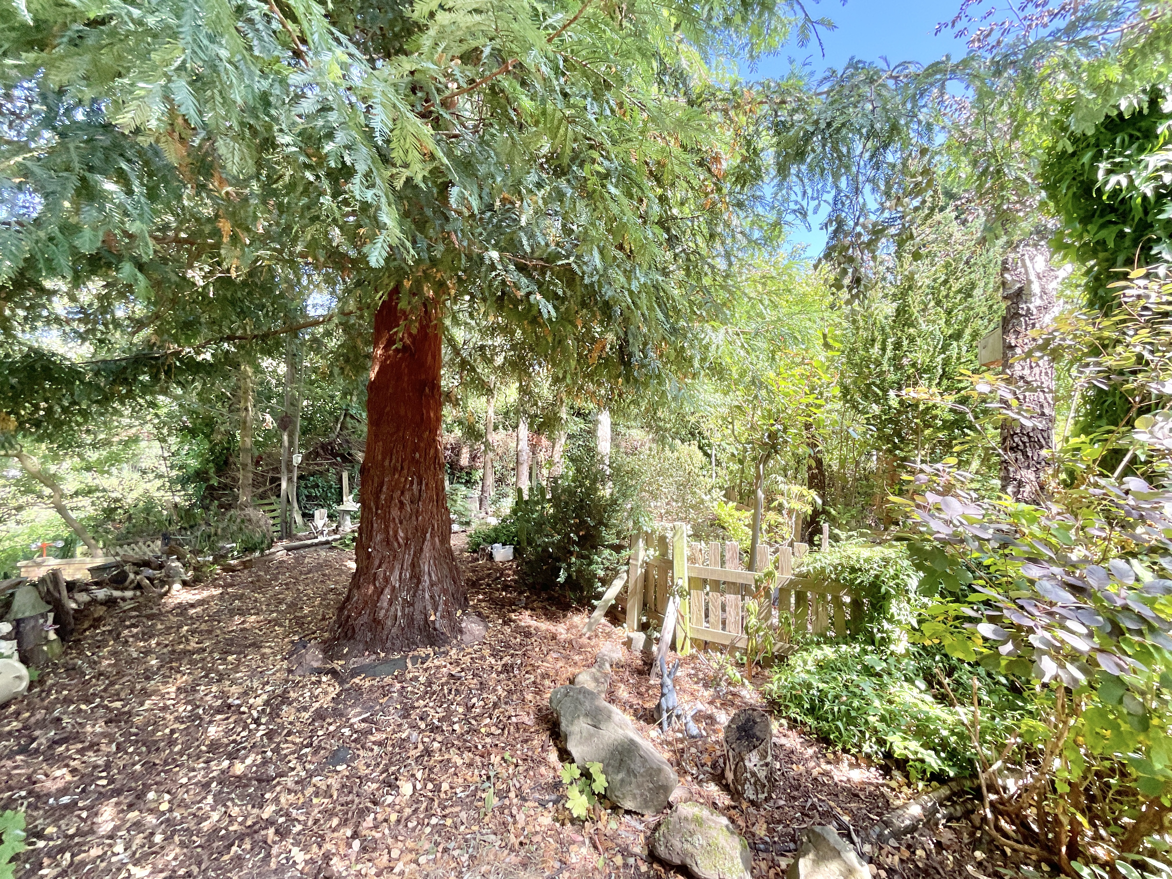Crofters Meadow, Cheswardine, TF9, photo 35