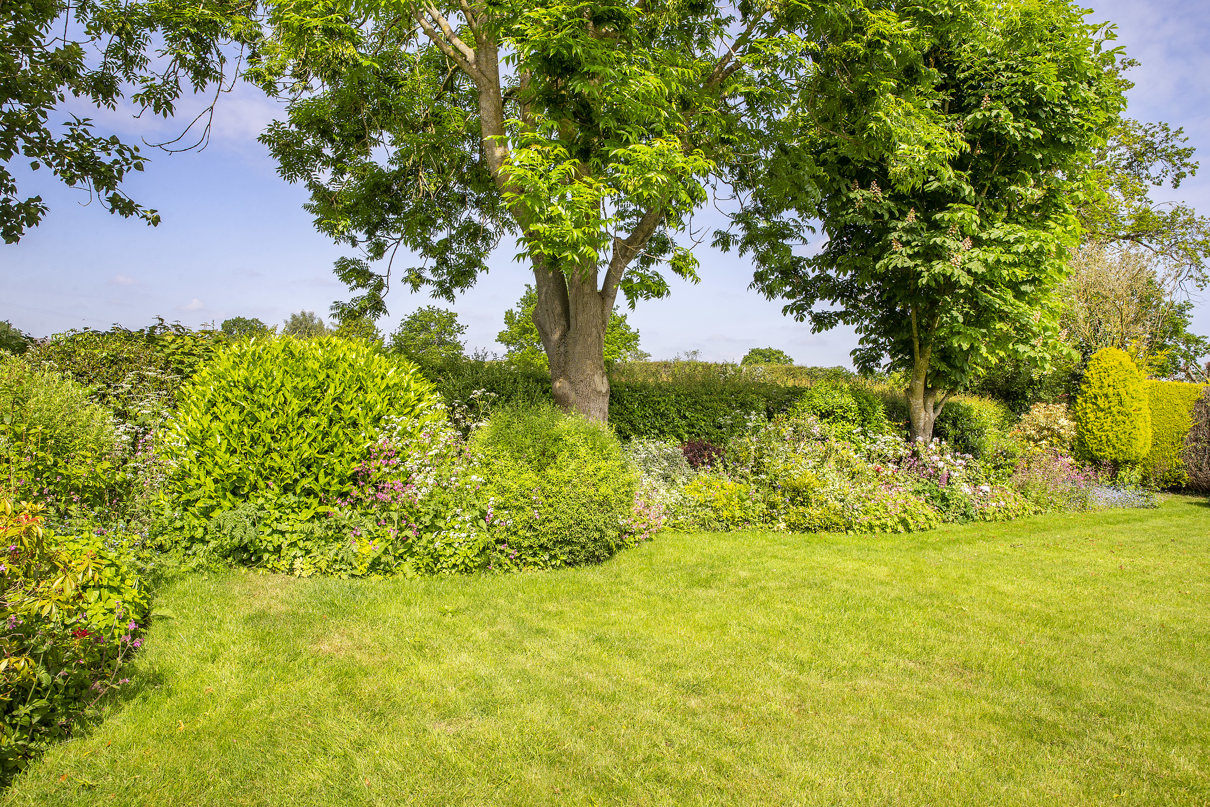 Swanley Lane, Burland, CW5, photo 19