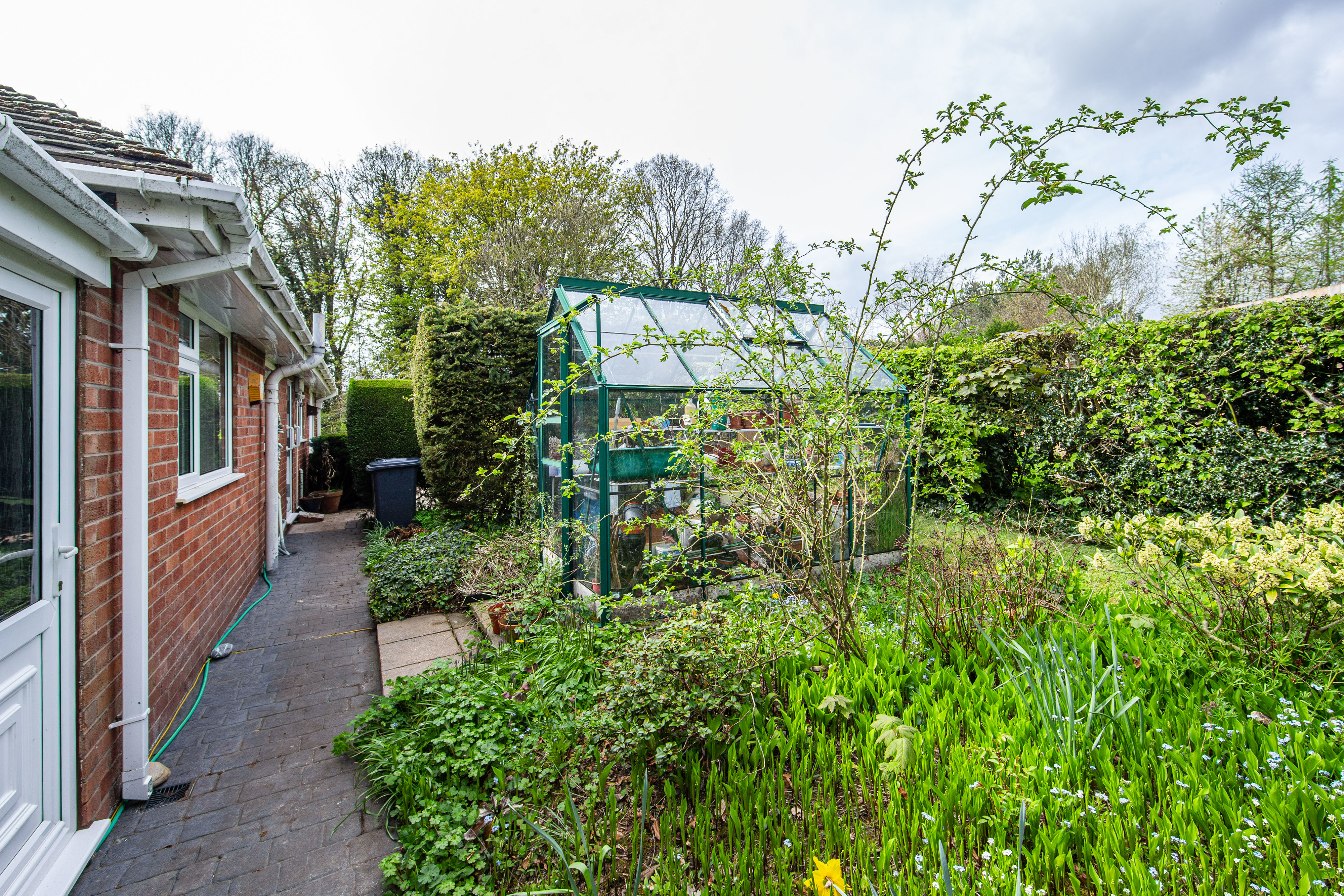 Garden 009