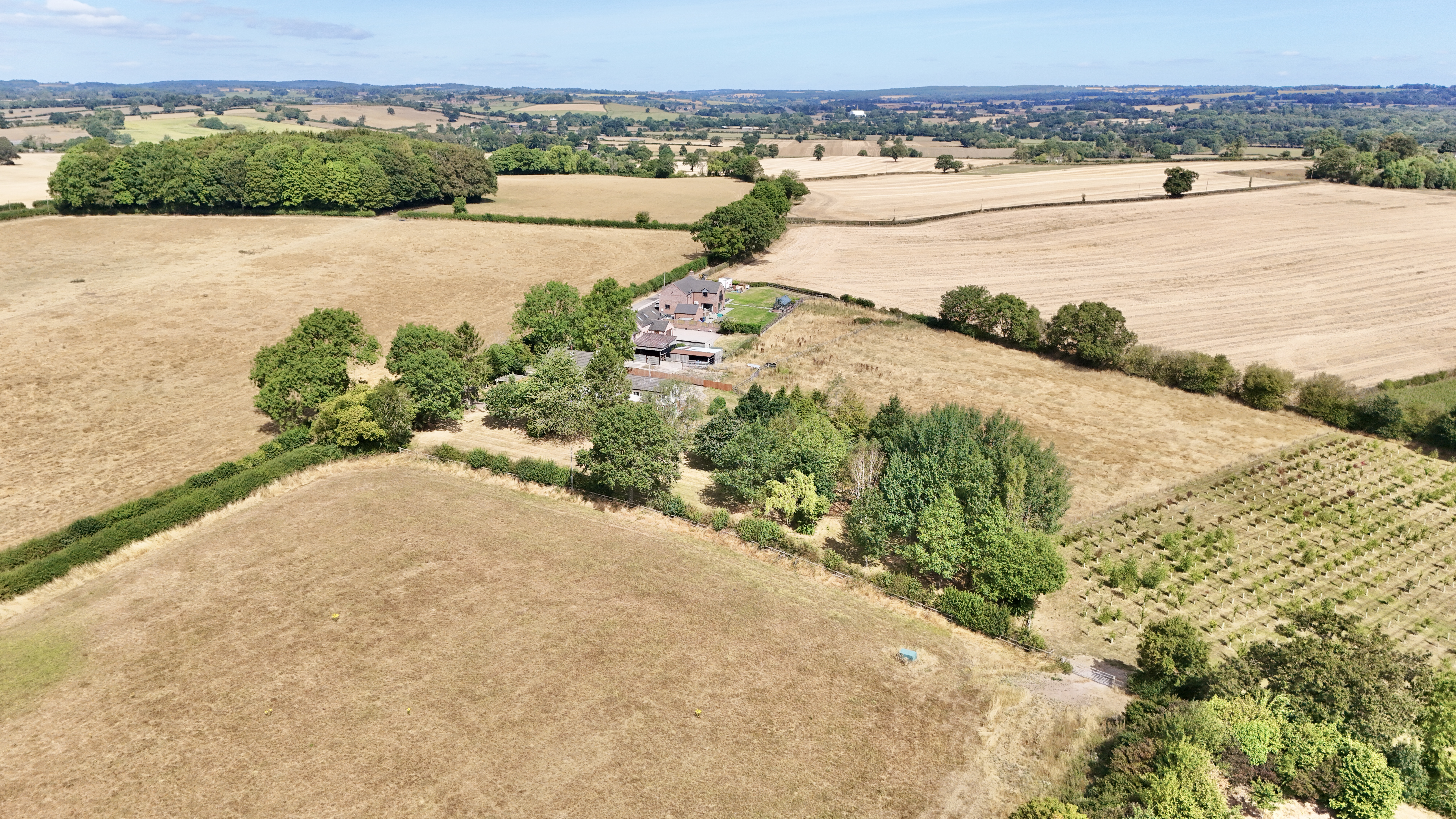Photo 46