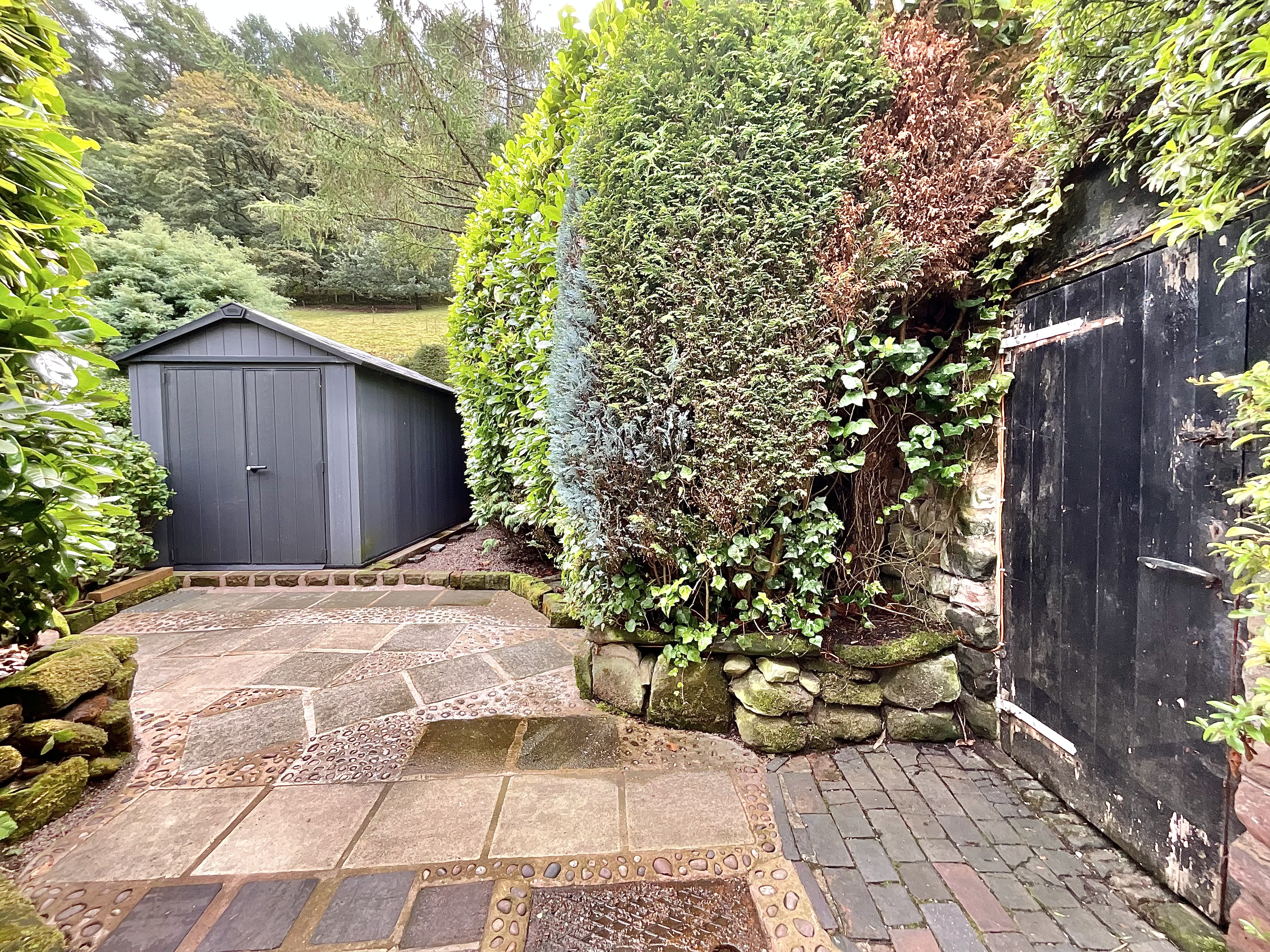 Photo 19