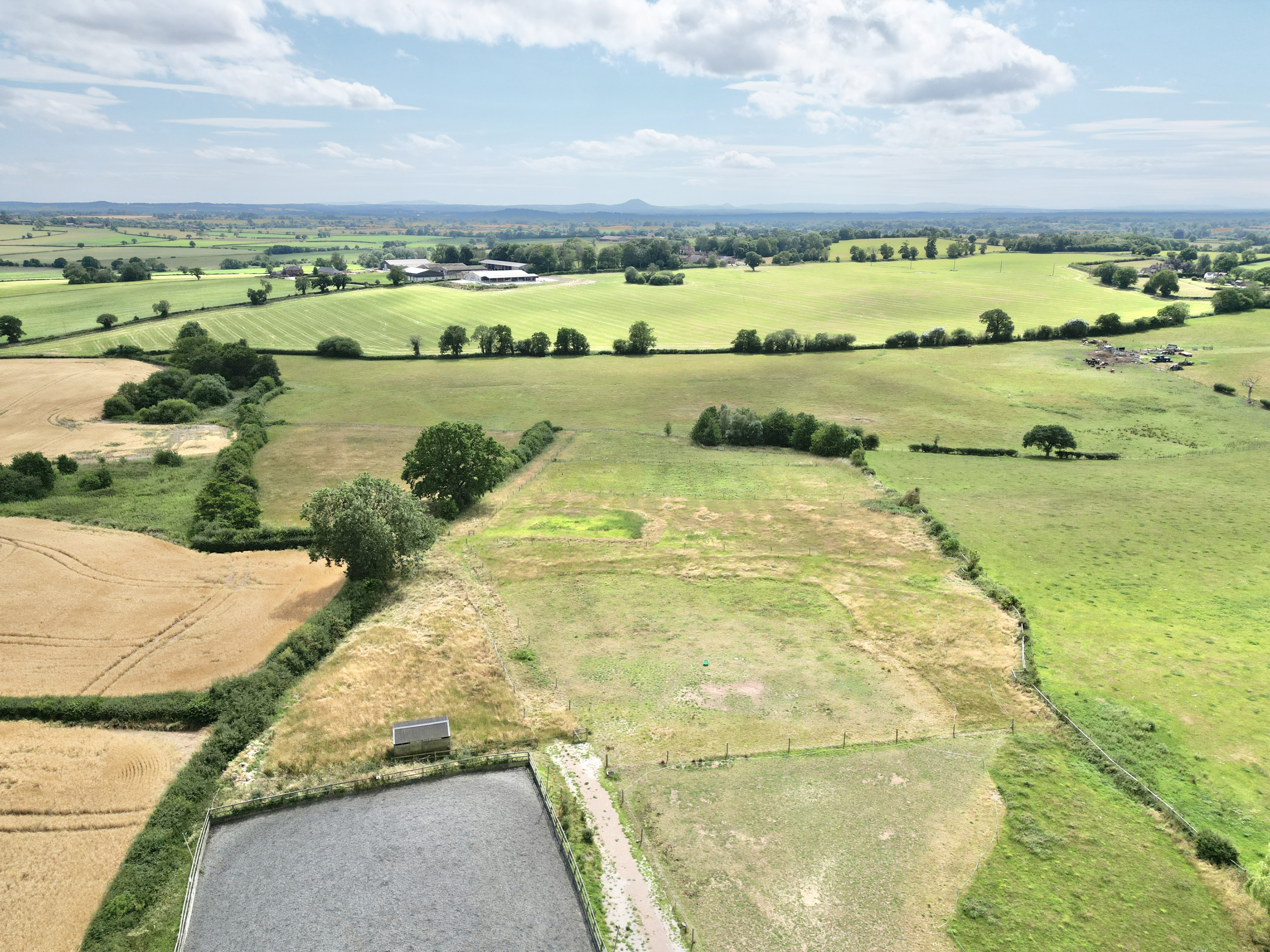 Offley Marsh, Bishops Offley, ST21, photo 34