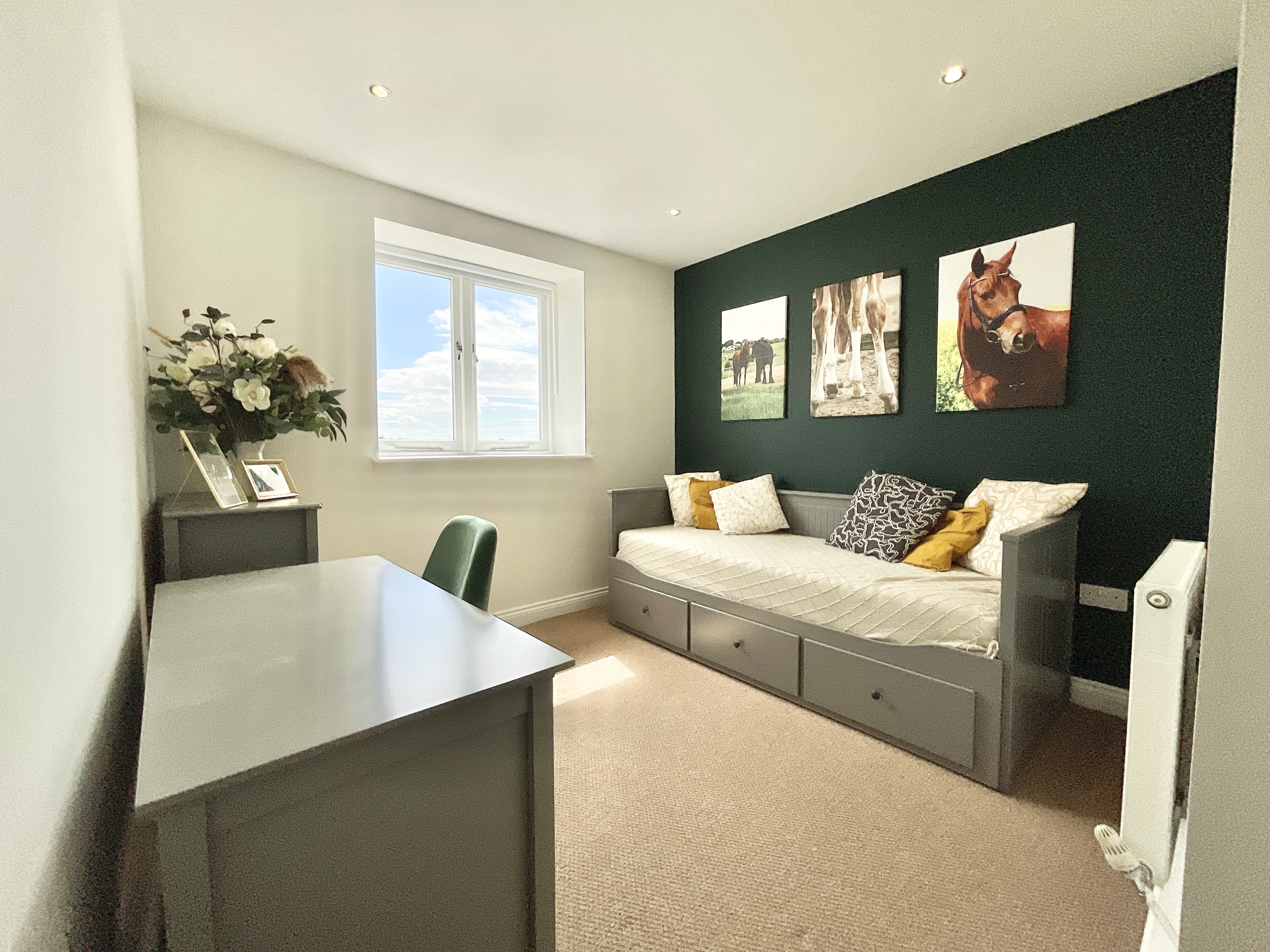 Offley Marsh, Bishops Offley, ST21, photo 19