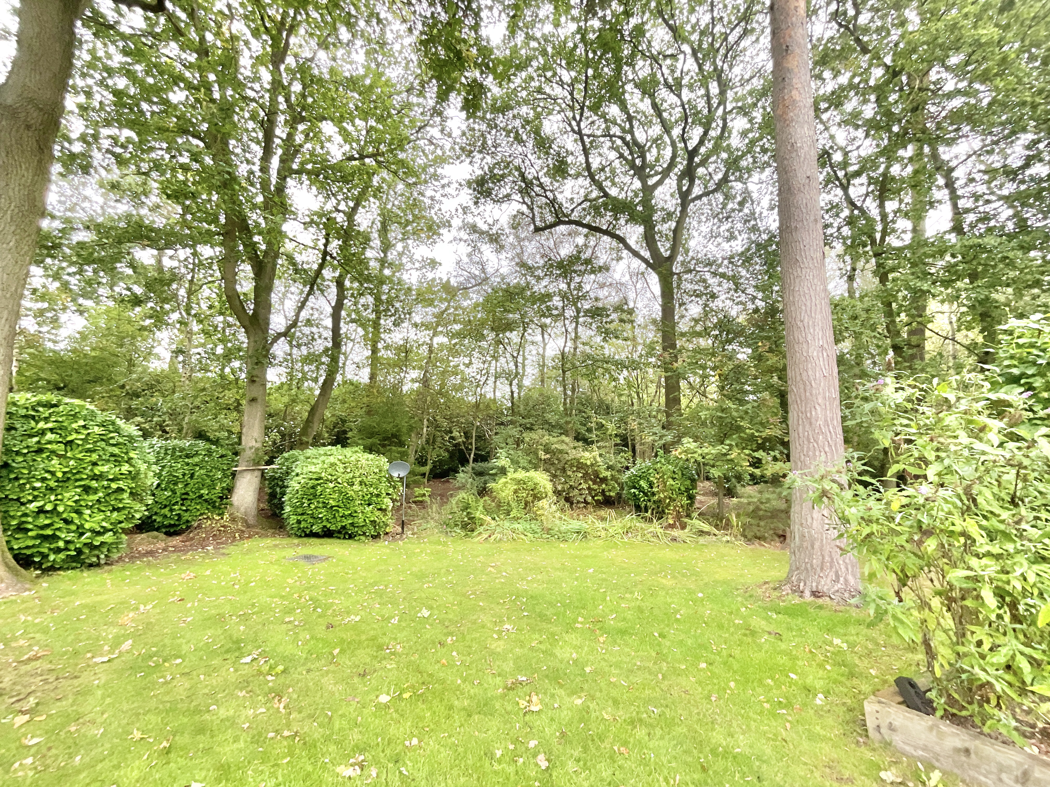 Derwent Drive, Loggerheads, TF9, photo 28