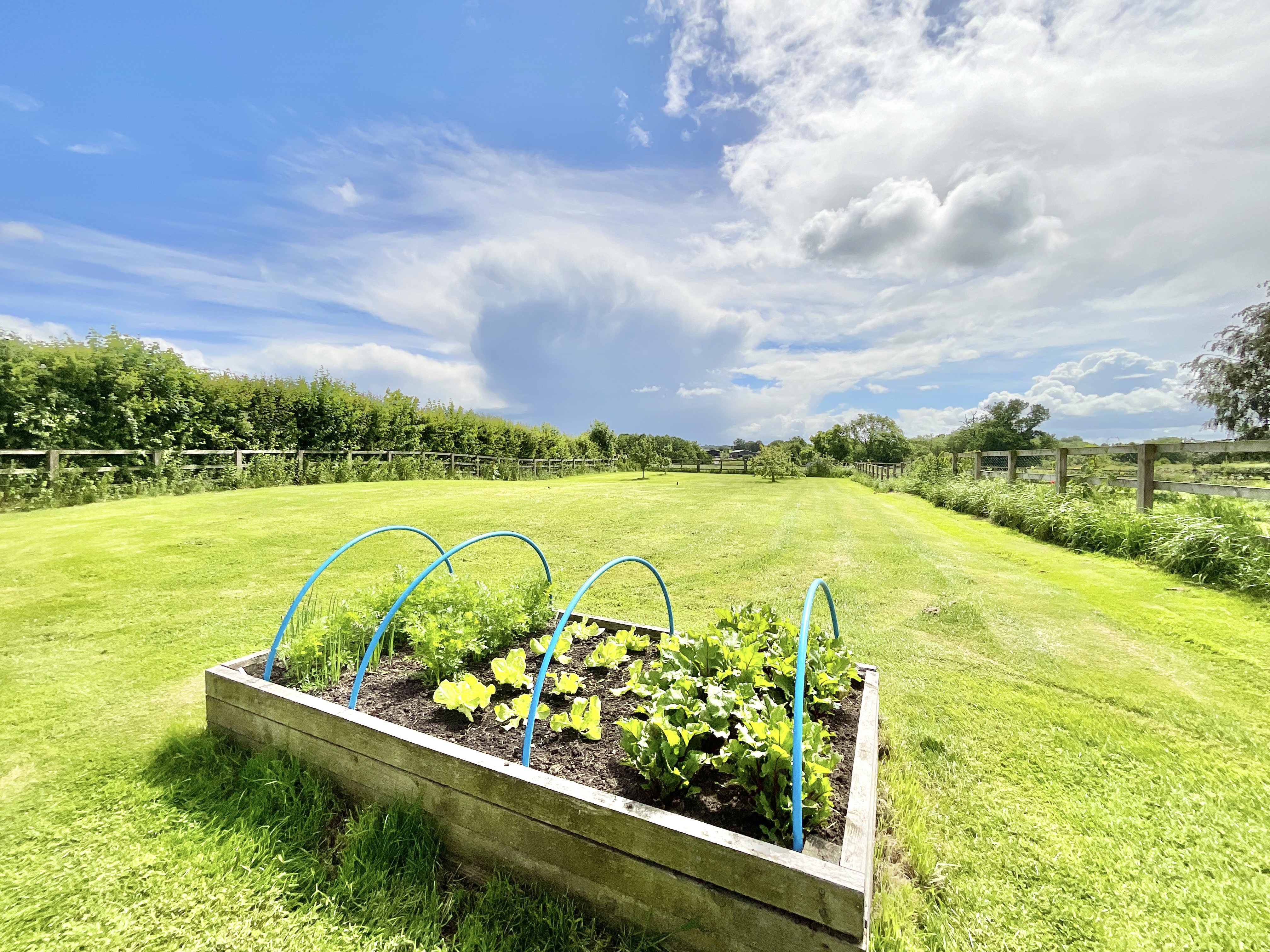 Napley Drive, Norton-In-Hales, TF9, photo 40