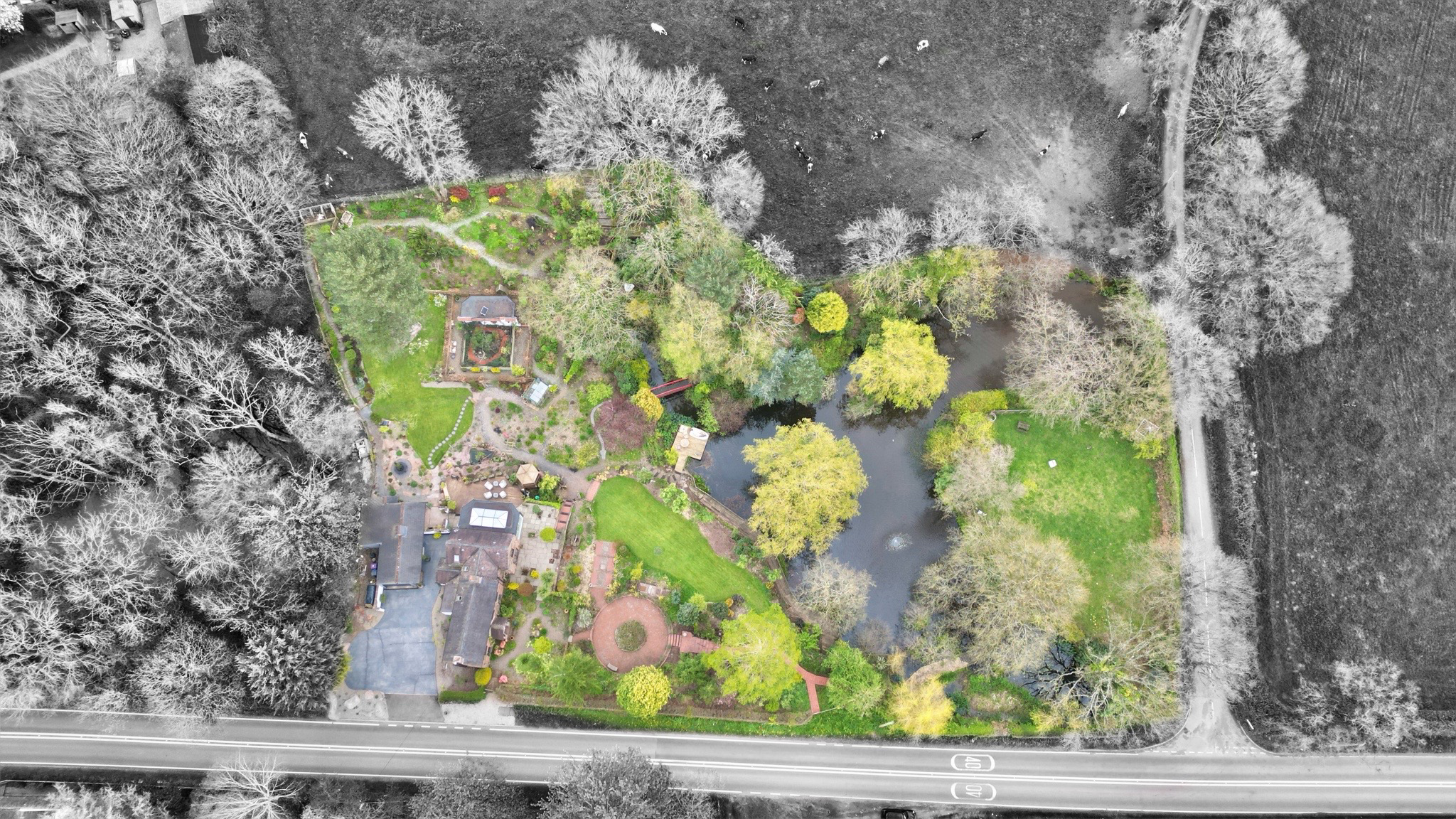 Lockley Wood, Market Drayton, TF9, photo 3