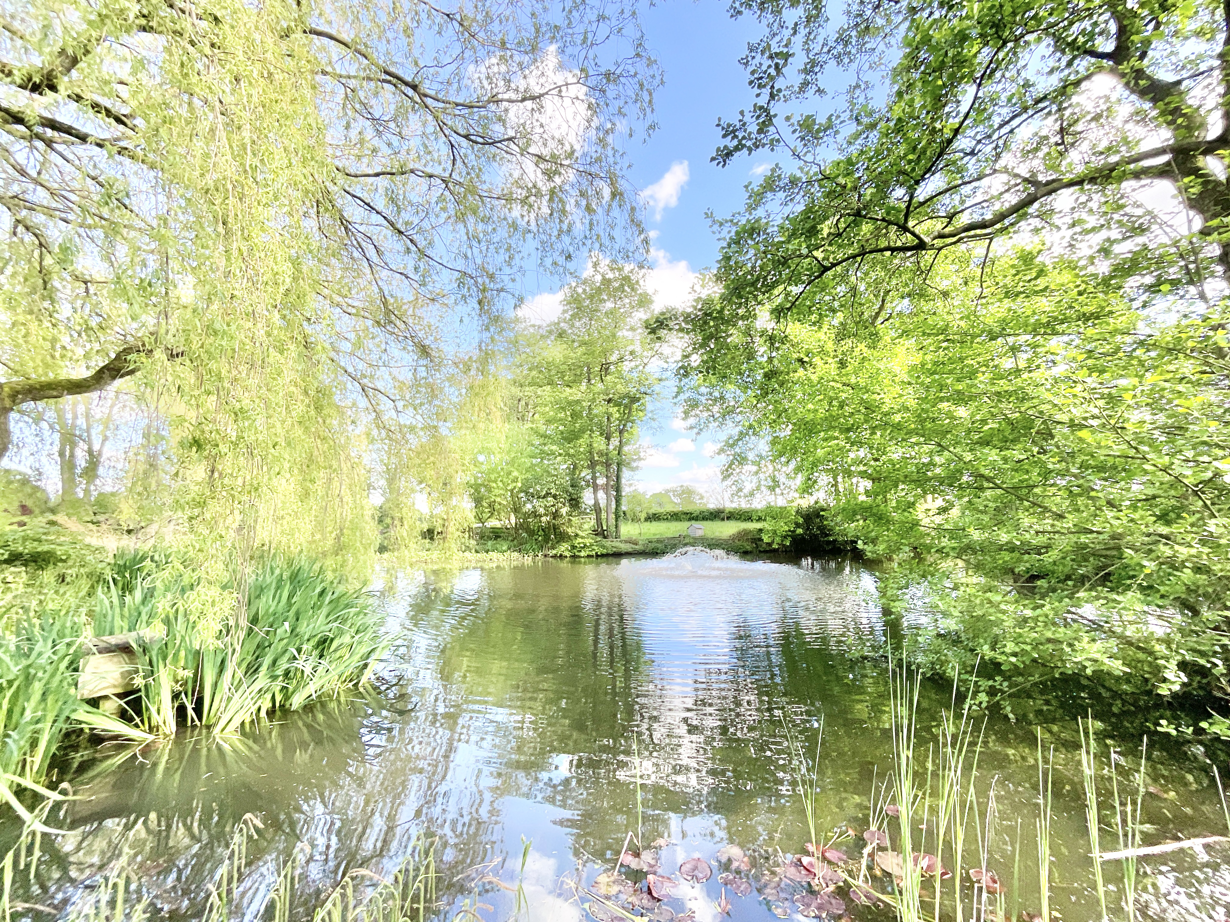 Lockley Wood, Market Drayton, TF9, photo 35